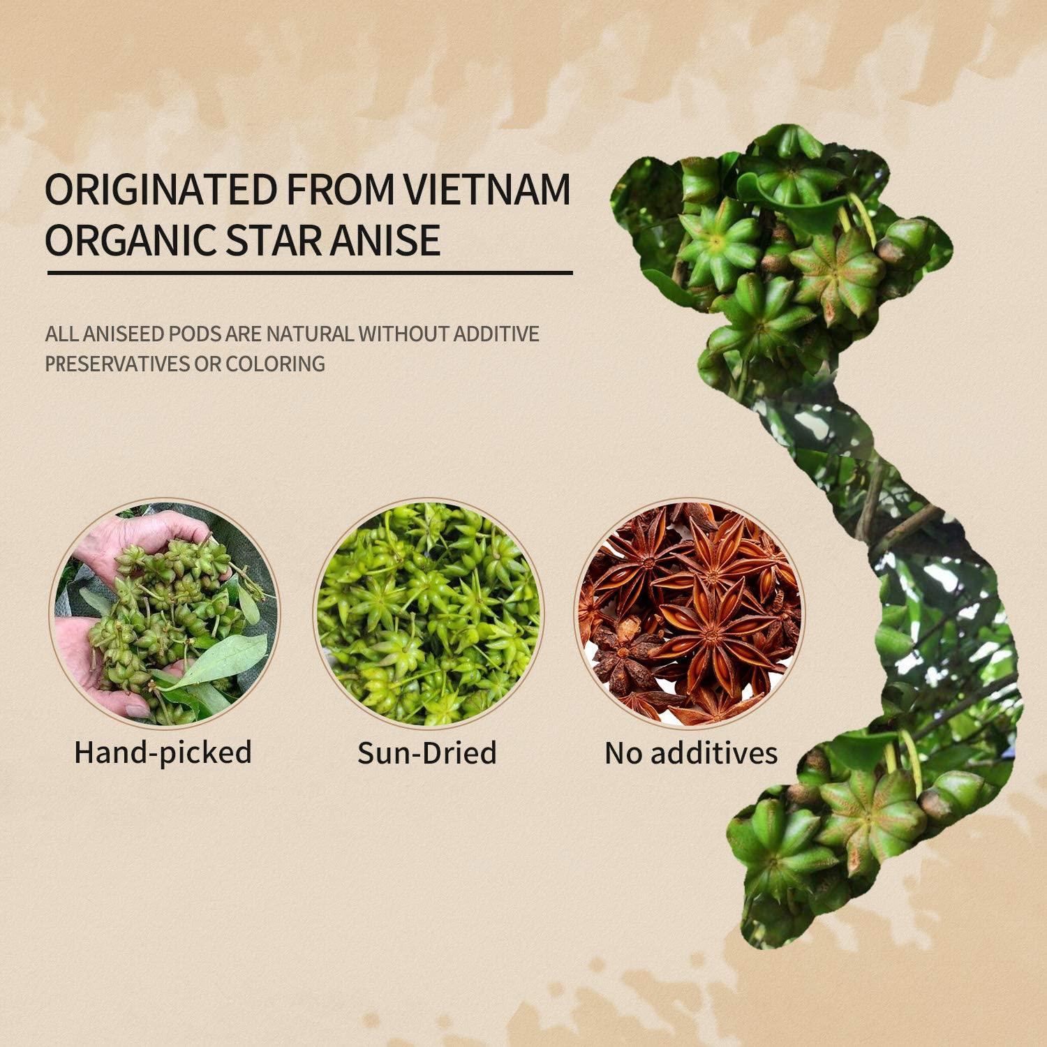 Anís Estrellado Orgánico 52USA - 113.4g | No OGM, Especia Premium