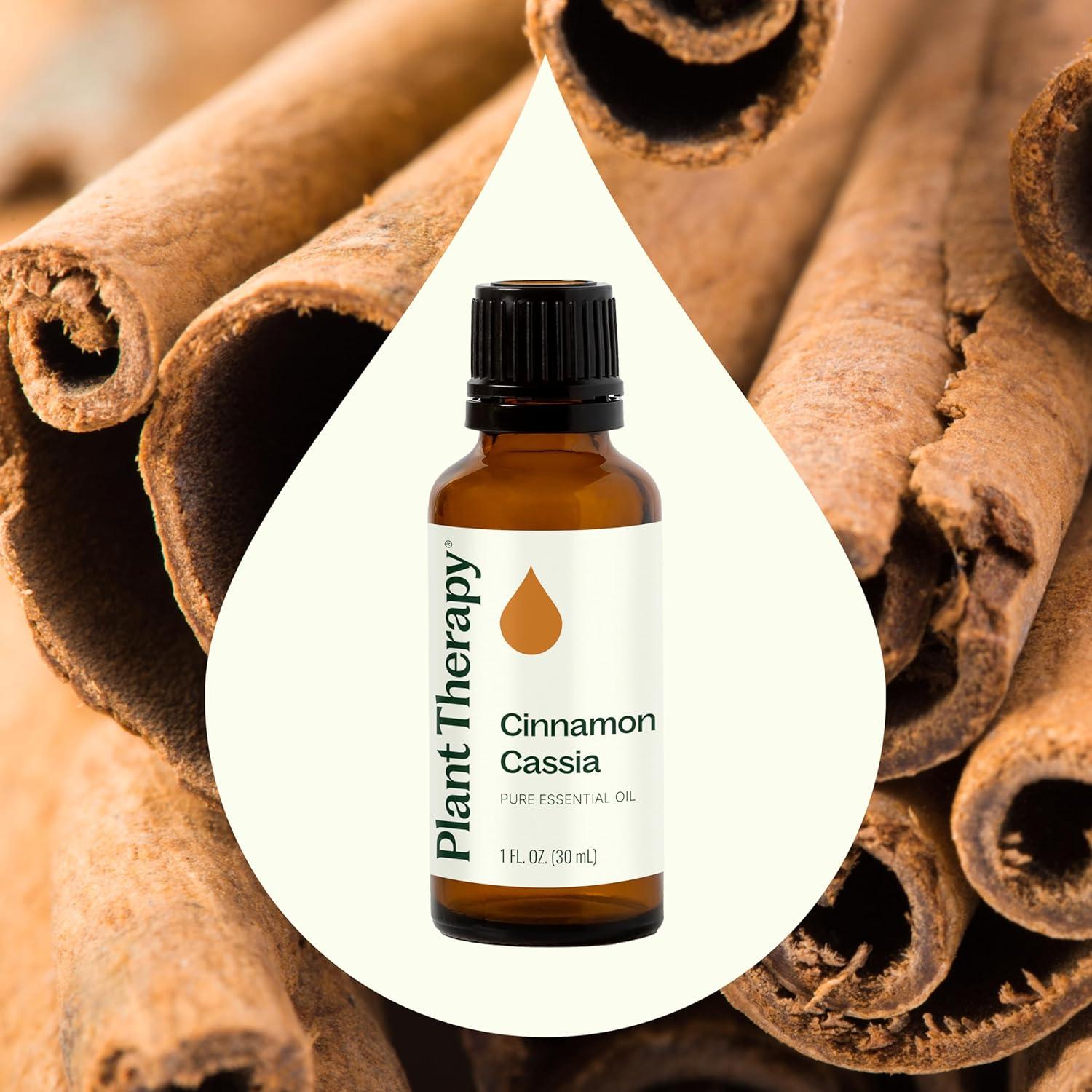 Aceite Esencial de Canela Cassia Plant Therapy 30 mL 100% Puro