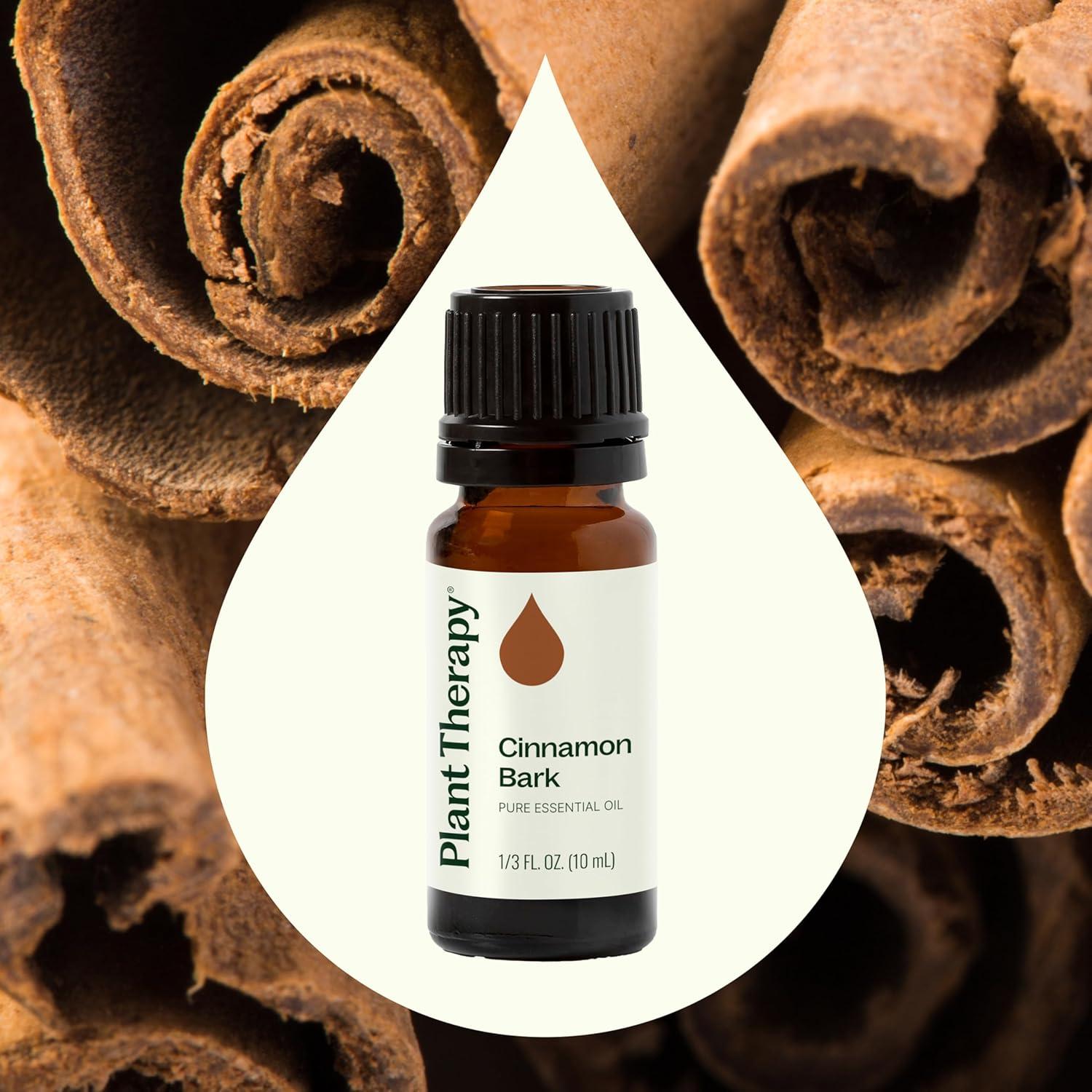 Aceite Esencial de Canela Plant Therapy 10 mL 100% Puro