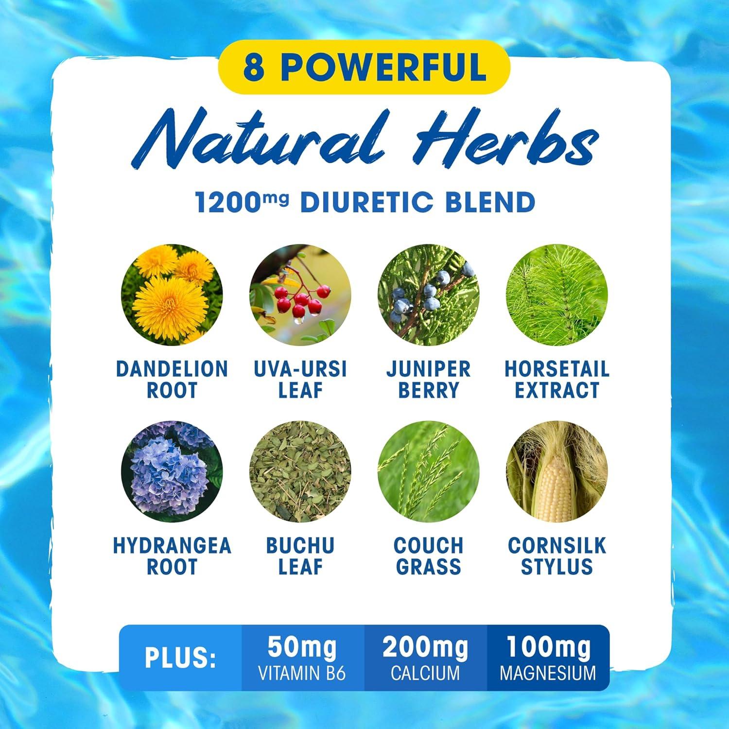 MHP Xpel Diurético Herbal Natural 80 Cápsulas Sin Cafeína