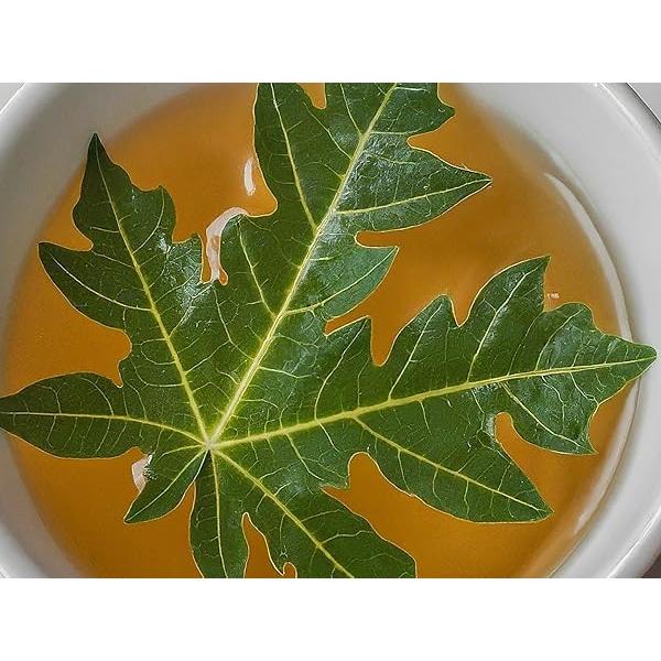 Hojas Secas de Papaya Akshit - Té Natural 73.93g Sin Aditivos