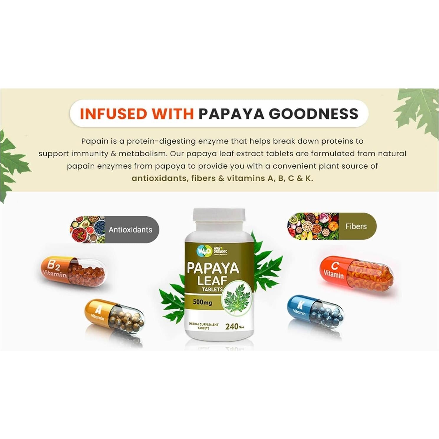 Cápsulas de Extracto de Hoja de Papaya Way4Organic 500 mg 240 Unidades