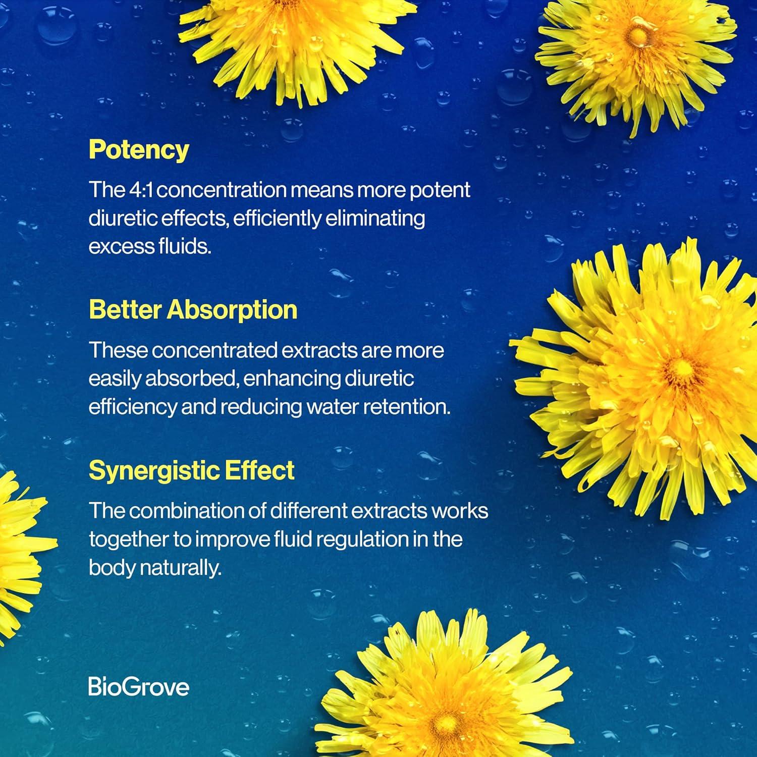 Píldoras Diulite para Retención de Agua - 675mg - 100g