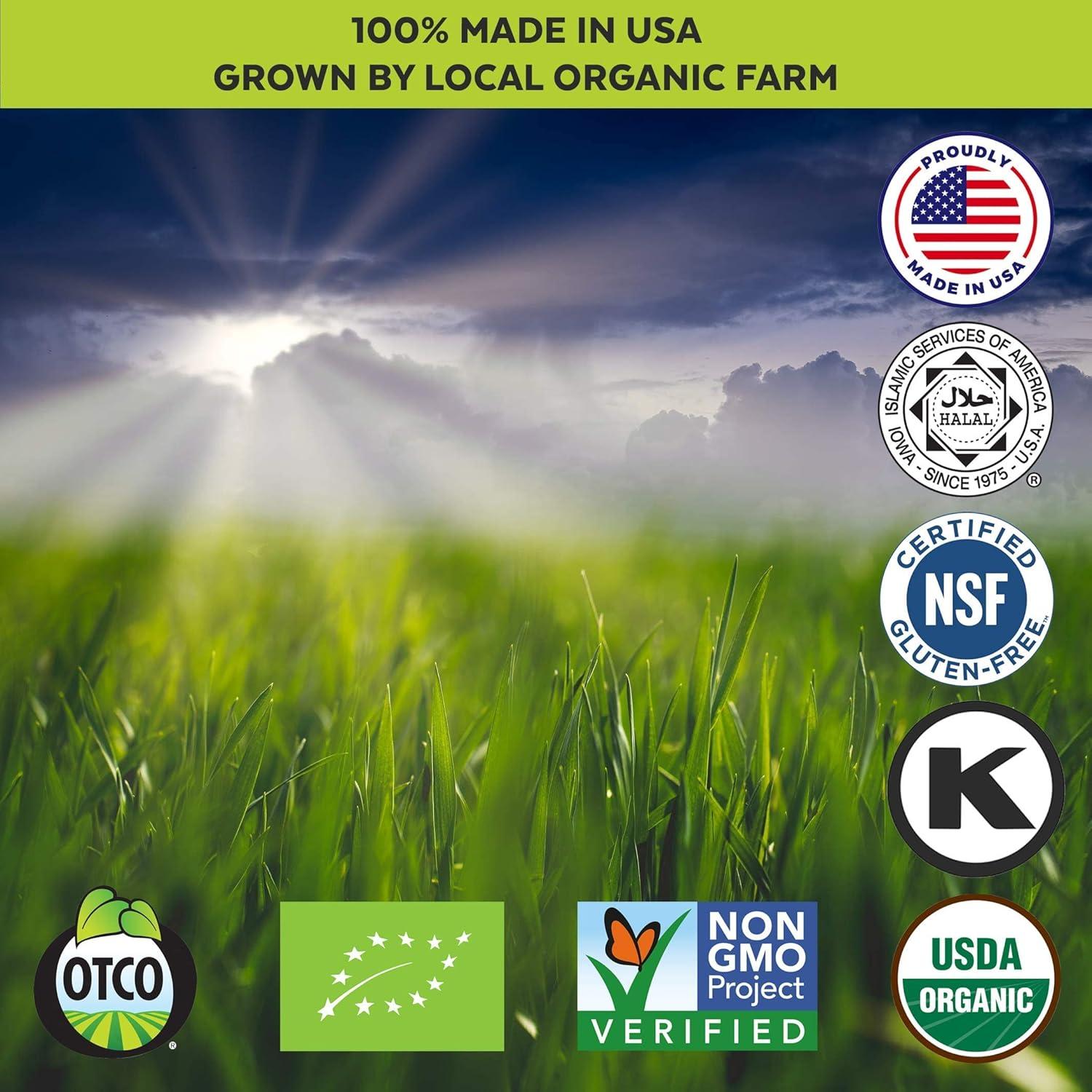 Polvo de Jugo de Césped de Cebada Numami 100% Orgánico 100g