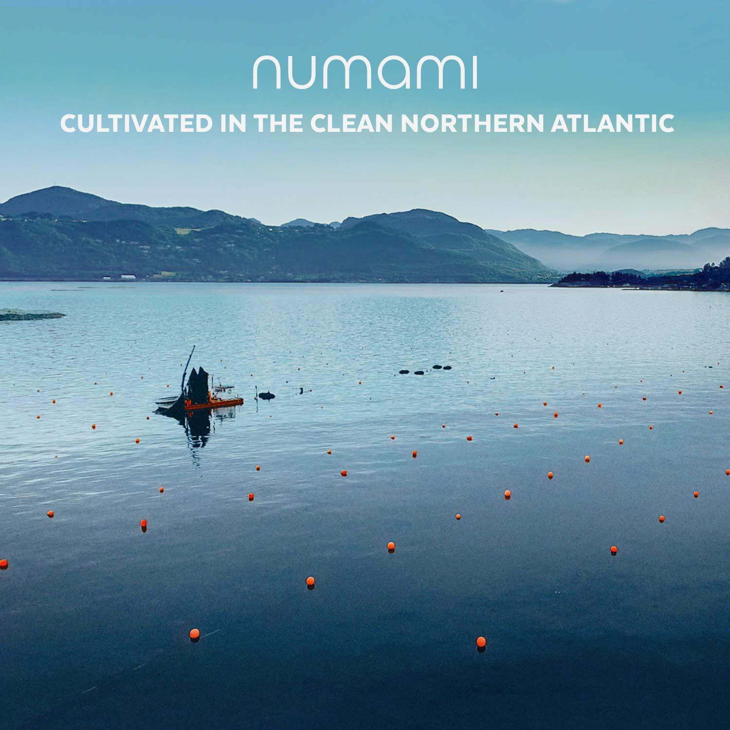 Polvo de Jugo de Césped de Cebada Numami 100% Orgánico 100g