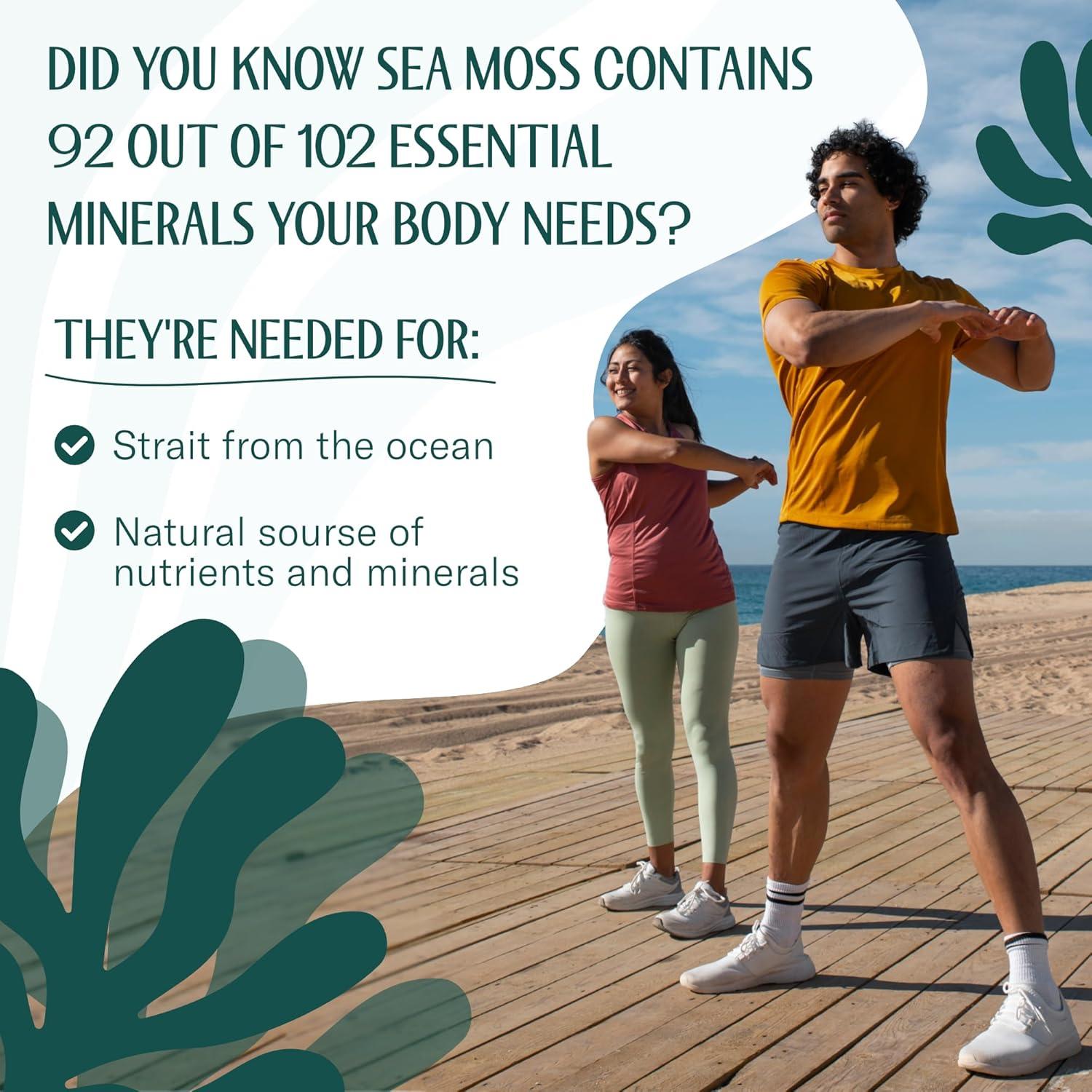 Musgo Marino Crudo Orgánico True Sea Moss - 56.7g