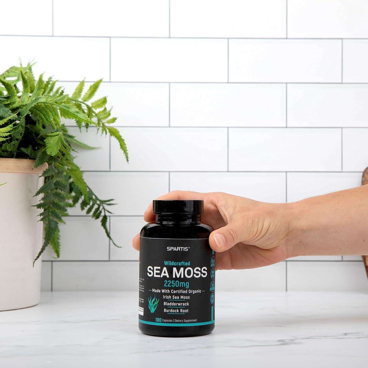 Cápsulas de Musgo Marino Orgánico 2250mg Spartis - 180 Unidades