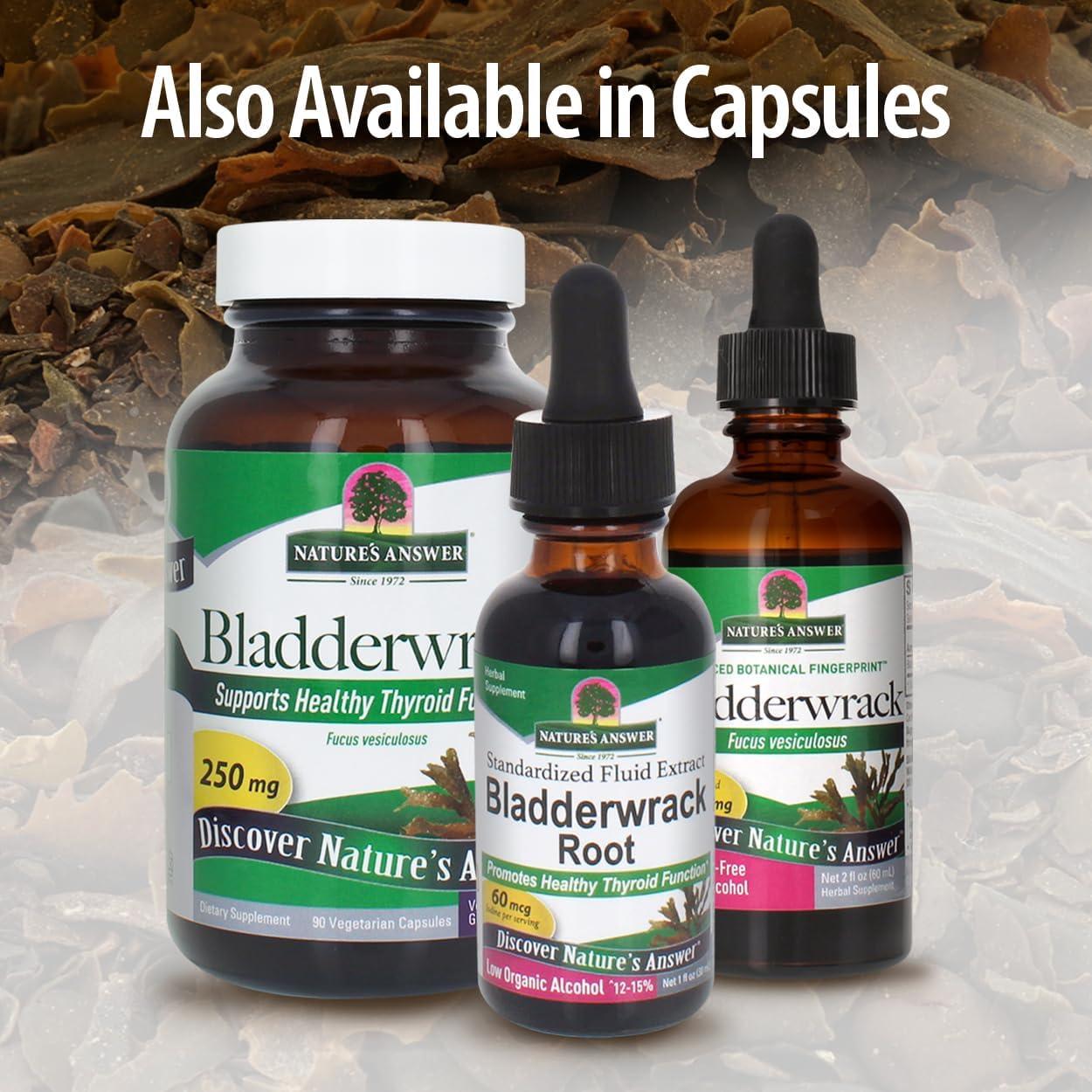 Extracto de Bladderwrack Nature's Answer 30 ml - Bajo Alcohol