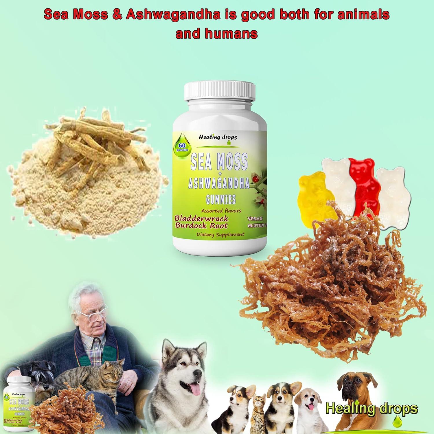 Gomitas Veganas de Musgo Marino y Ashwagandha Healing Drops 161g