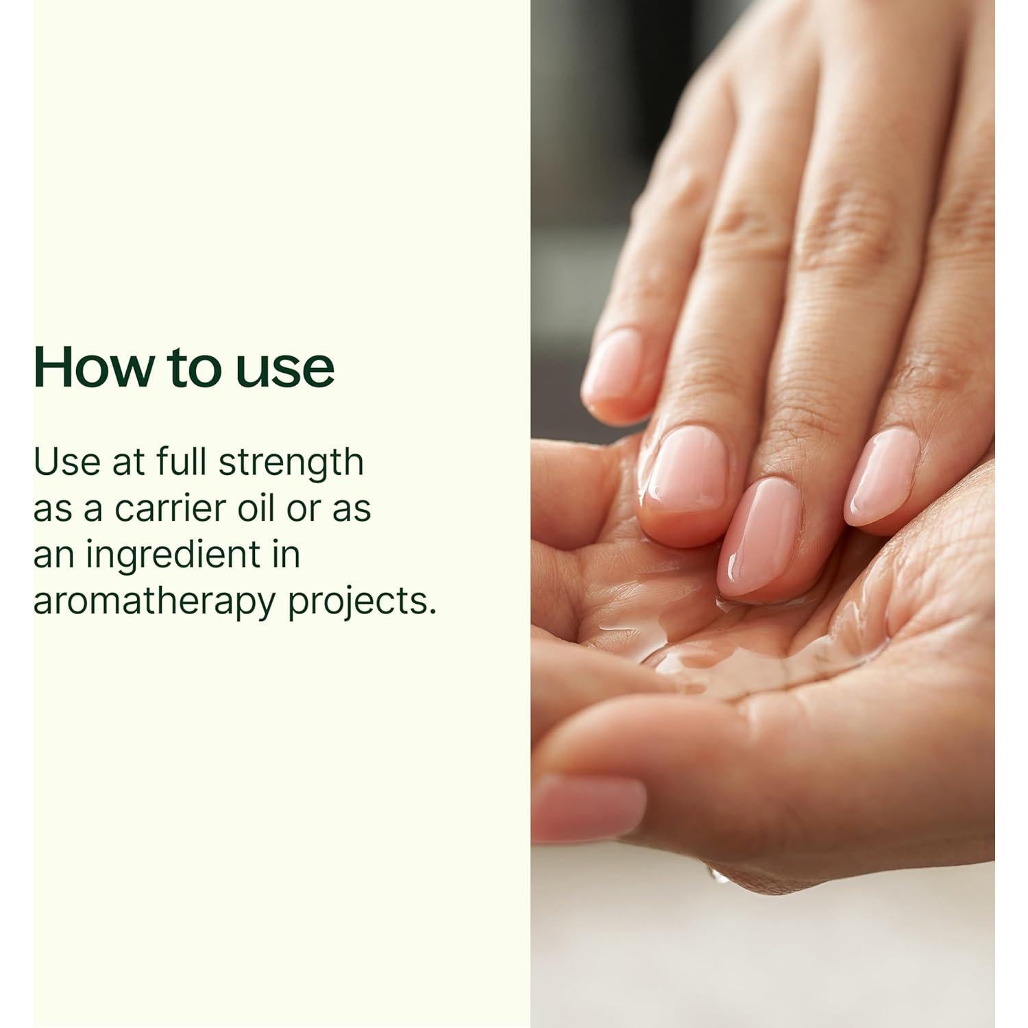 Aceite Portador de Jojoba Dorada Plant Therapy 118 ml 100% Puro