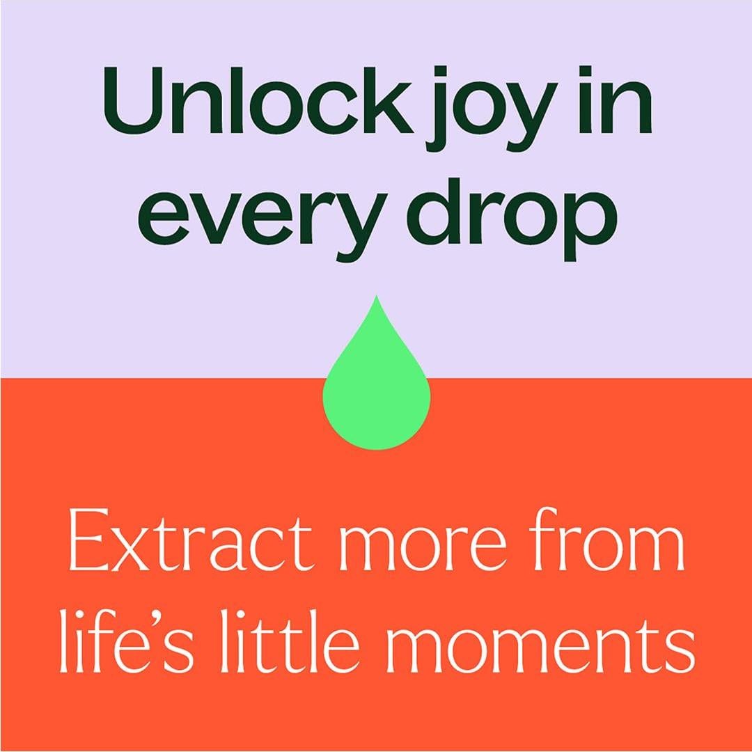 Aceite Portador de Jojoba Dorada Plant Therapy 118 ml 100% Puro