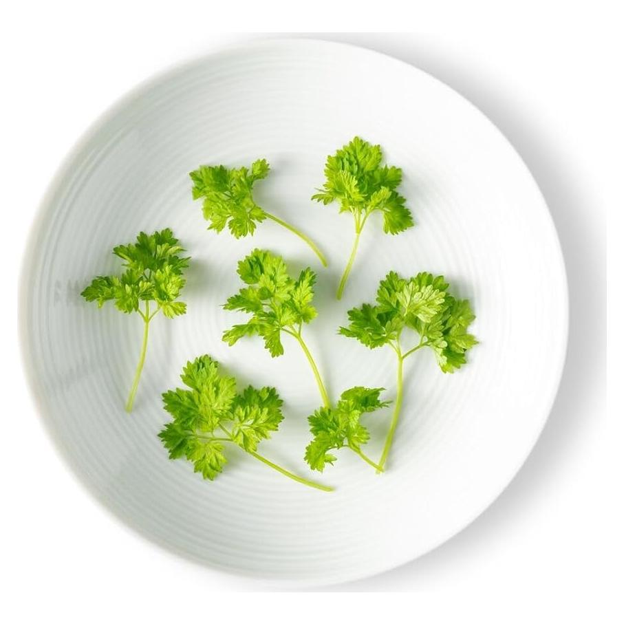 Microgreens Chirivía Fresh Origins 4 x 85 g - Sabor Regaliz