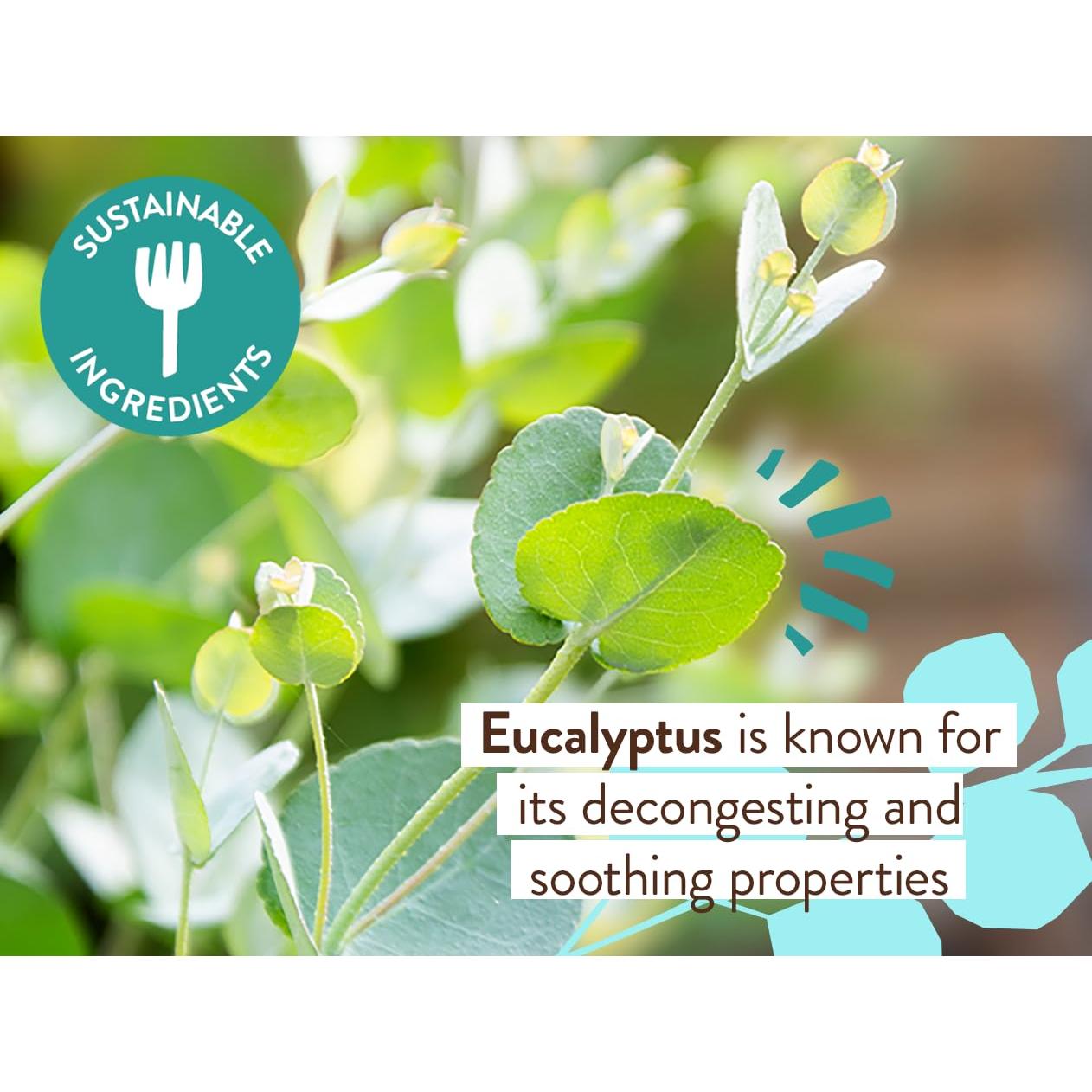 Babo Botanicals Eucalyptus Rub Orgánico 56.7g - Alivio Natural