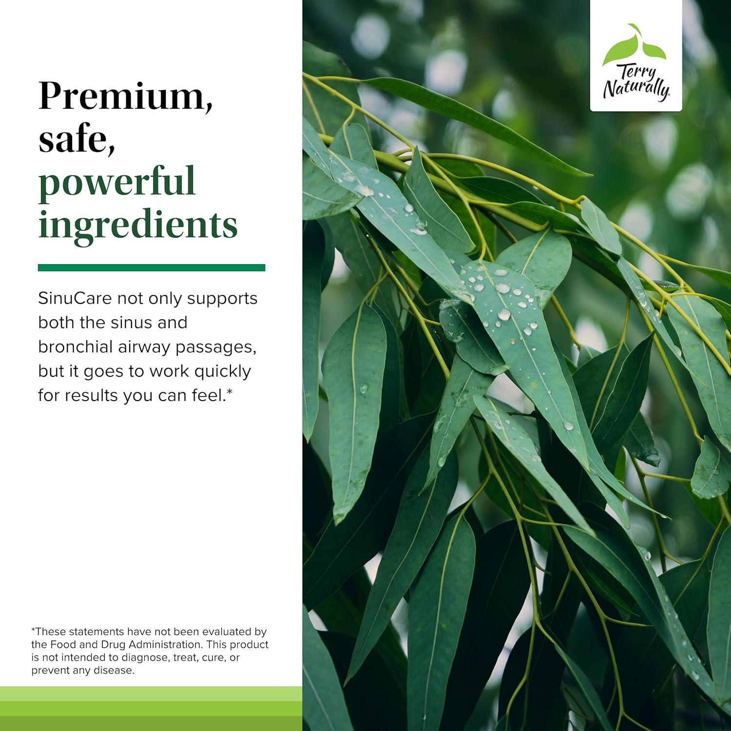 Terry Naturally SinuCare Extra Strength - Suplemento Eucalipto 30 Cápsulas