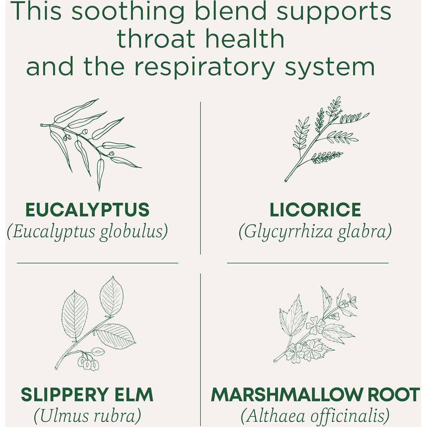 Té Eucalipto Orgánico Tradicionales Medicinales 16 Bolsitas