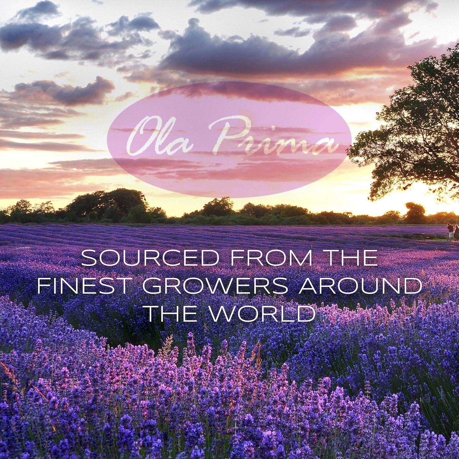 Aceite Esencial de Eucalipto Limón Ola Prima 118 ml - Aromaterapia