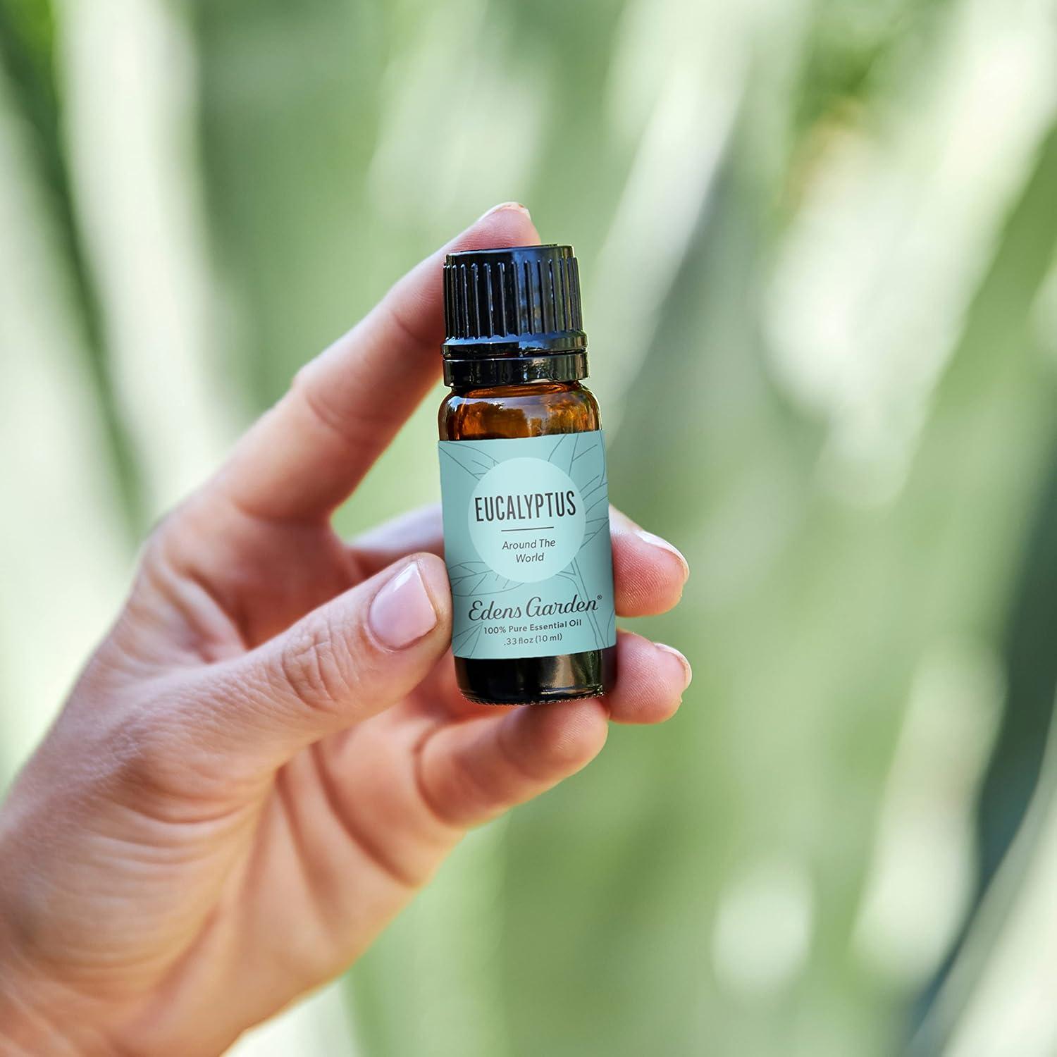 Aceite Esencial Eucalipto Edens Garden 10 ml 100% Puro