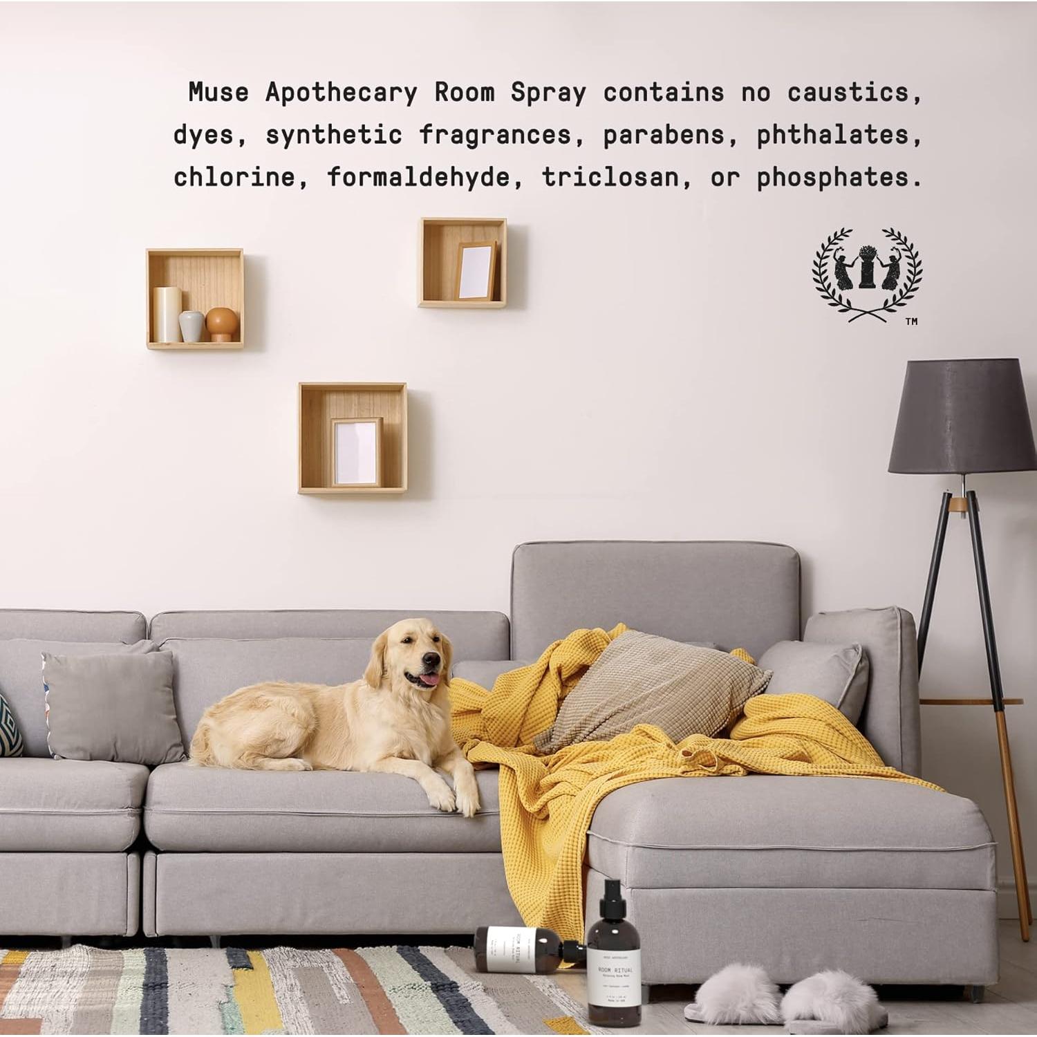 Mist Aromático Muse Apothecary 113.4 ml Aloe Eucalipto Lavanda - Paquete de 2