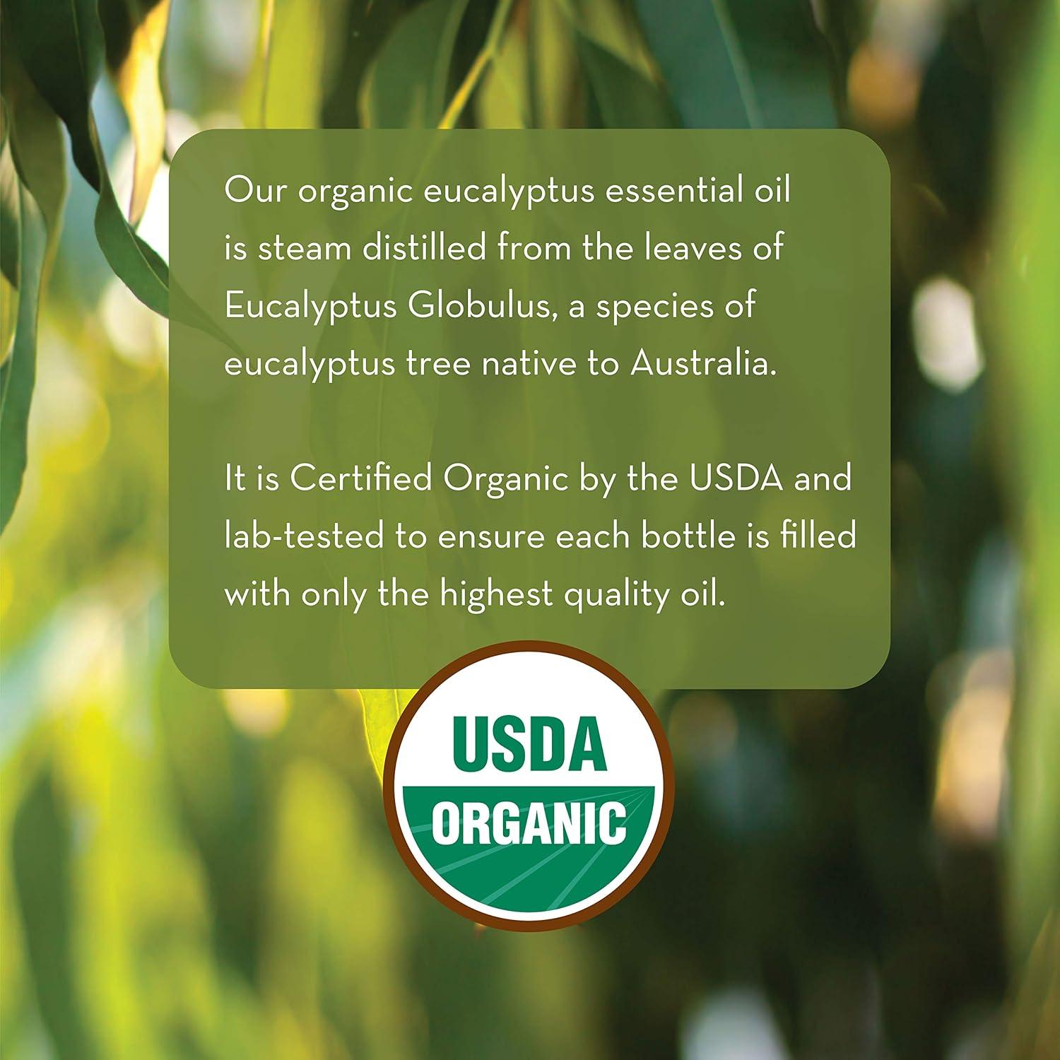 Aceite Esencial de Eucalipto Orgánico Pure Body Naturals 30 ml