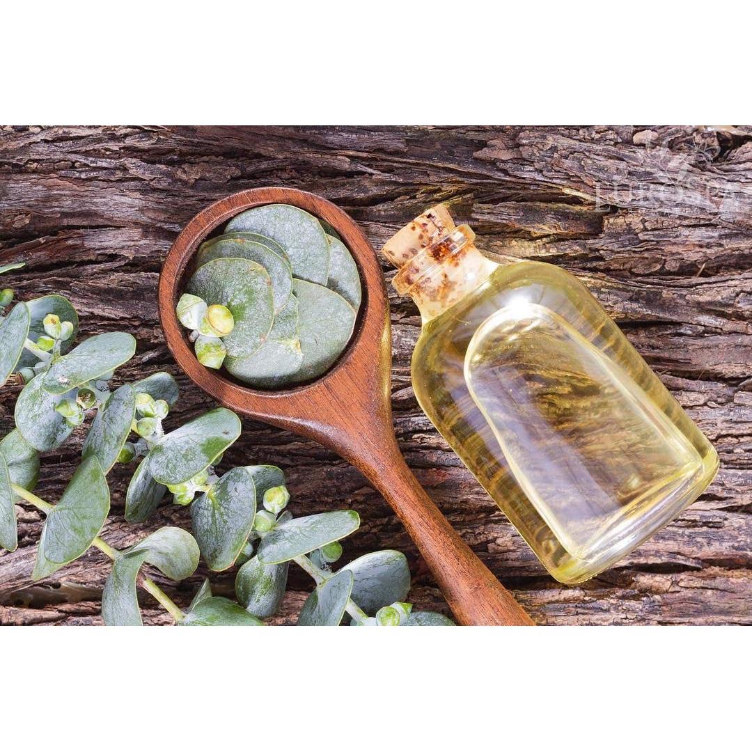 Aceite de Eucalipto Puro EuroSpa Aromatics 100% Natural 226.8ml