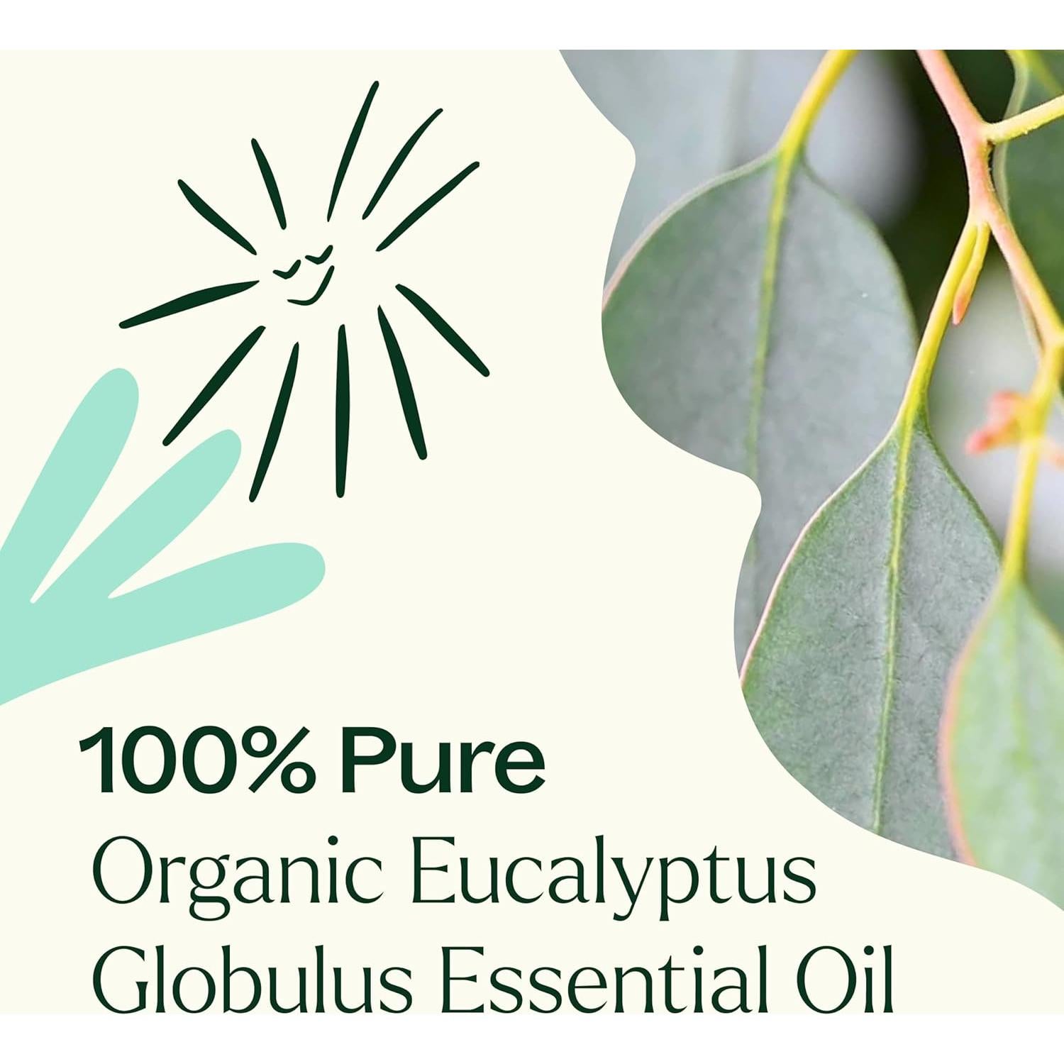 Aceite Esencial de Eucalipto Globulus Orgánico Plant Therapy 100 mL