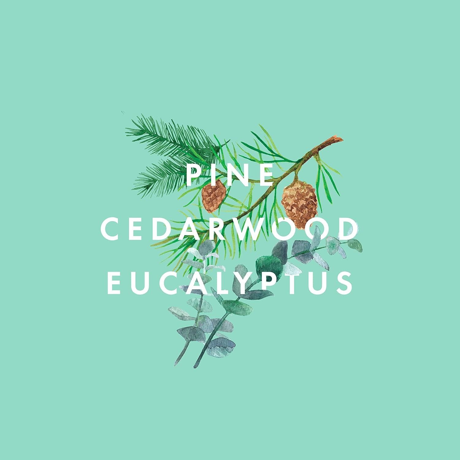 Mezcla de Aceites Esenciales NEOM 10ml Pino Cedro Eucalipto