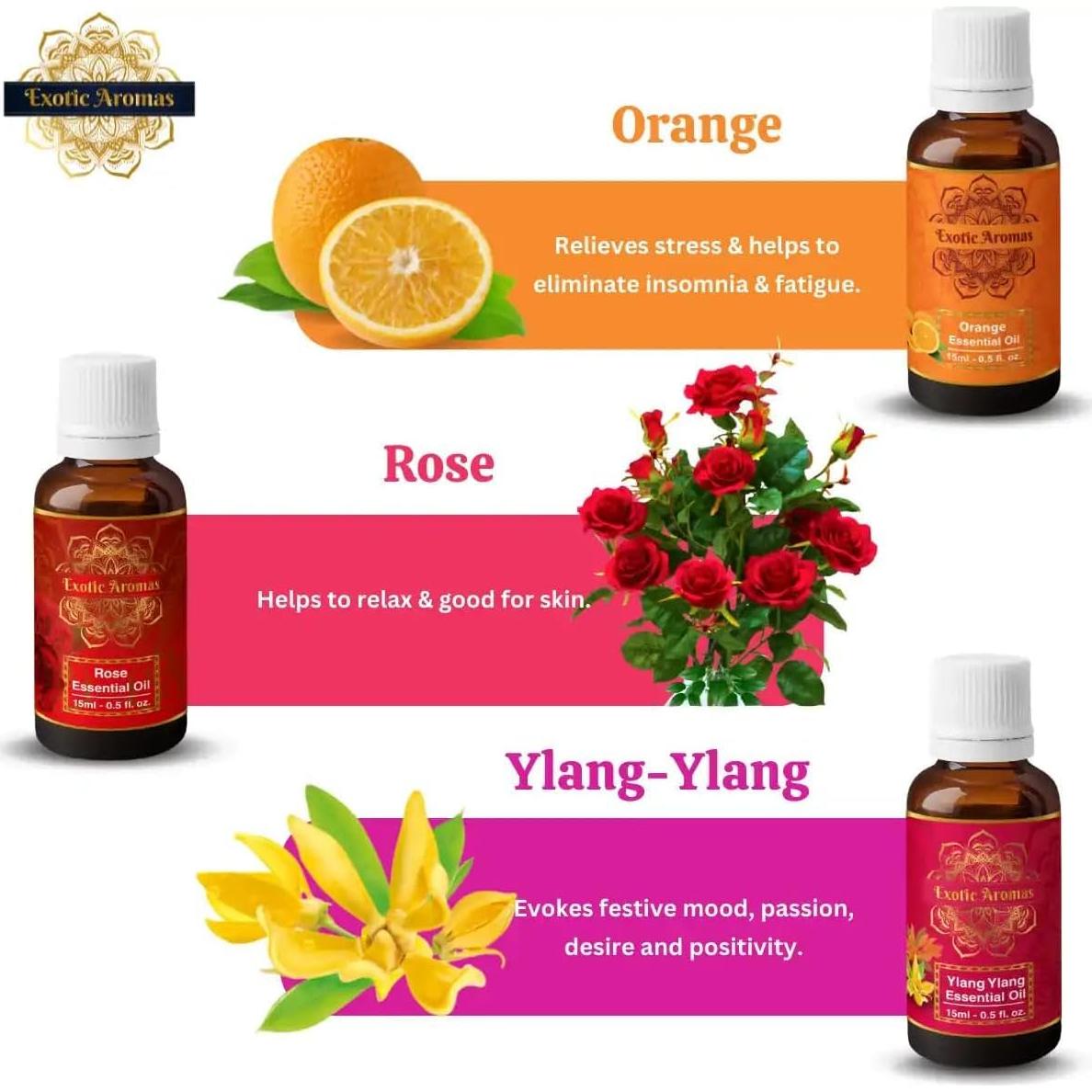 Aceite Esencial Natural Krushnam Traders - 12 x 10 ml