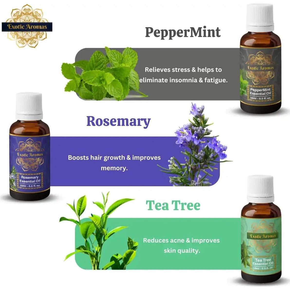 Aceite Esencial Natural Krushnam Traders - 12 x 10 ml