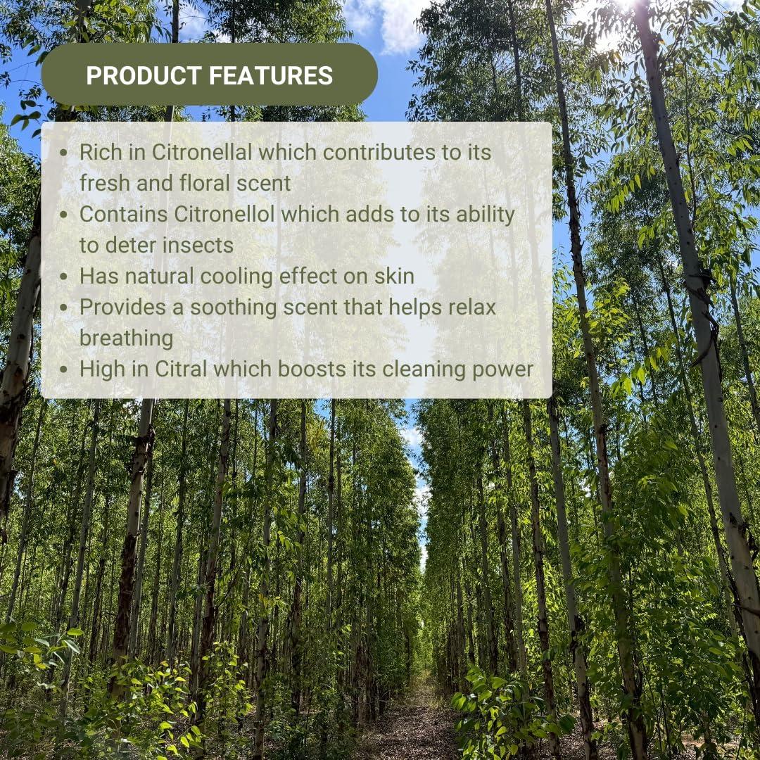 Aceite Esencial de Eucalipto Limón Nature Packaged 15 mL