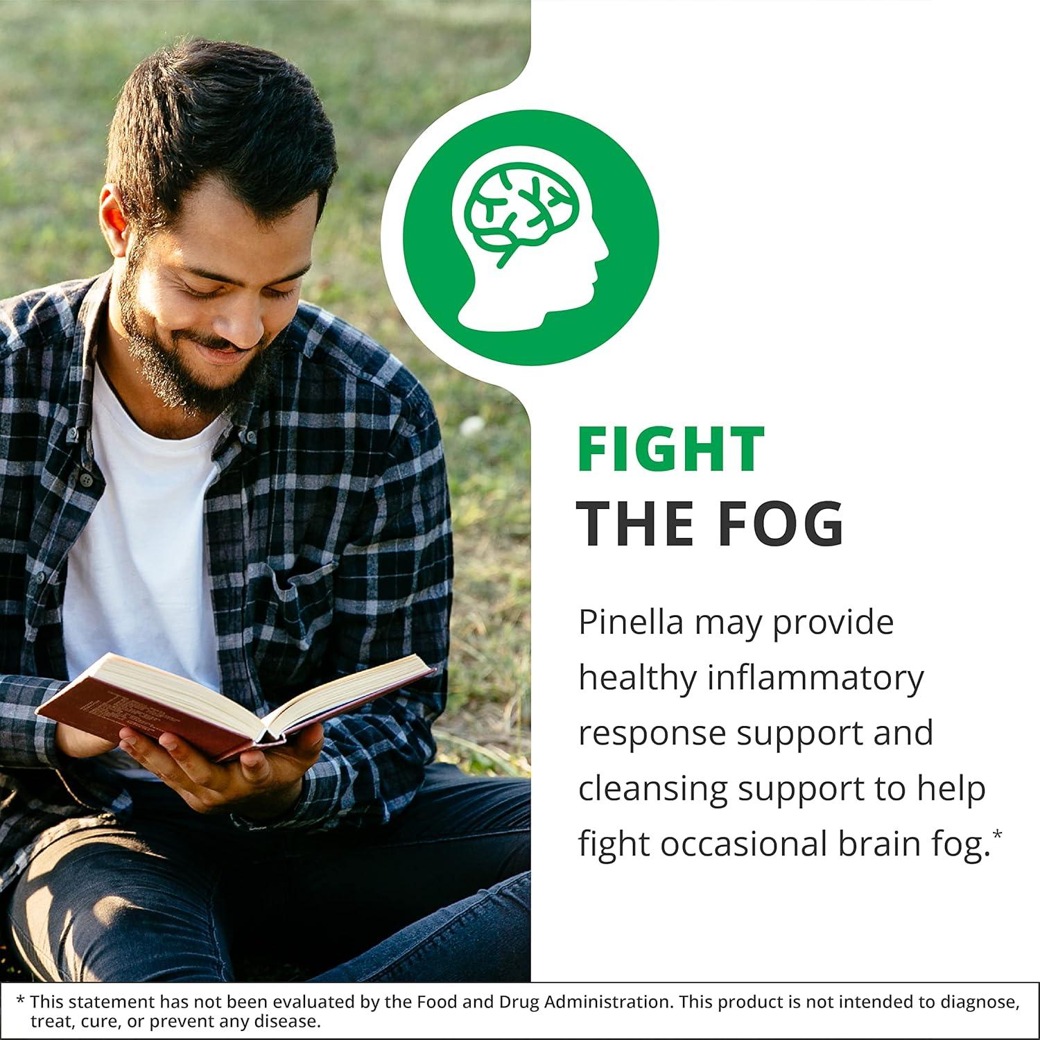 NutraMedix Pinella - Gotas Líquidas de Anís 30 ml - Suplemento Cerebral