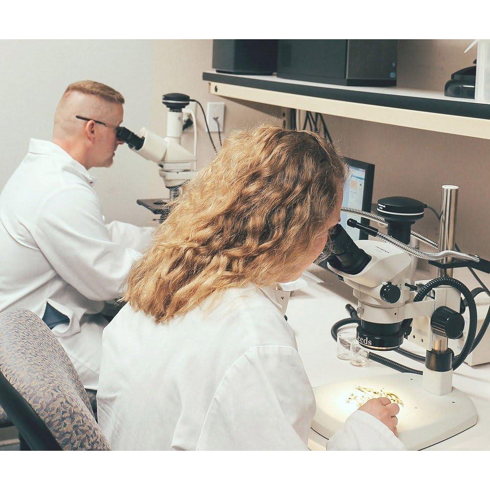 Hojuelas de Perejil Orgánico Frontier Co-op 454 g