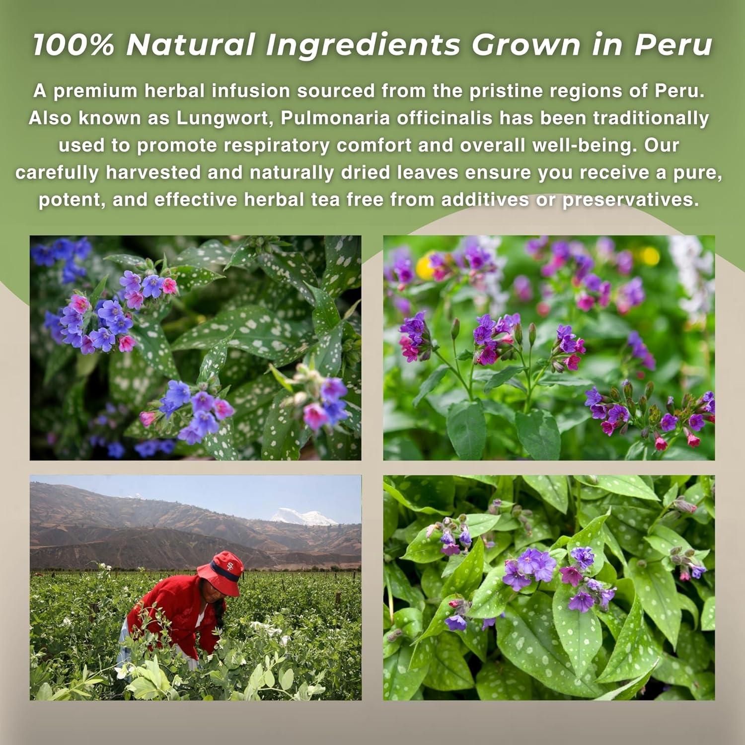 Té de Pulmonaria Hanan 50g - Herbal Natural de Perú