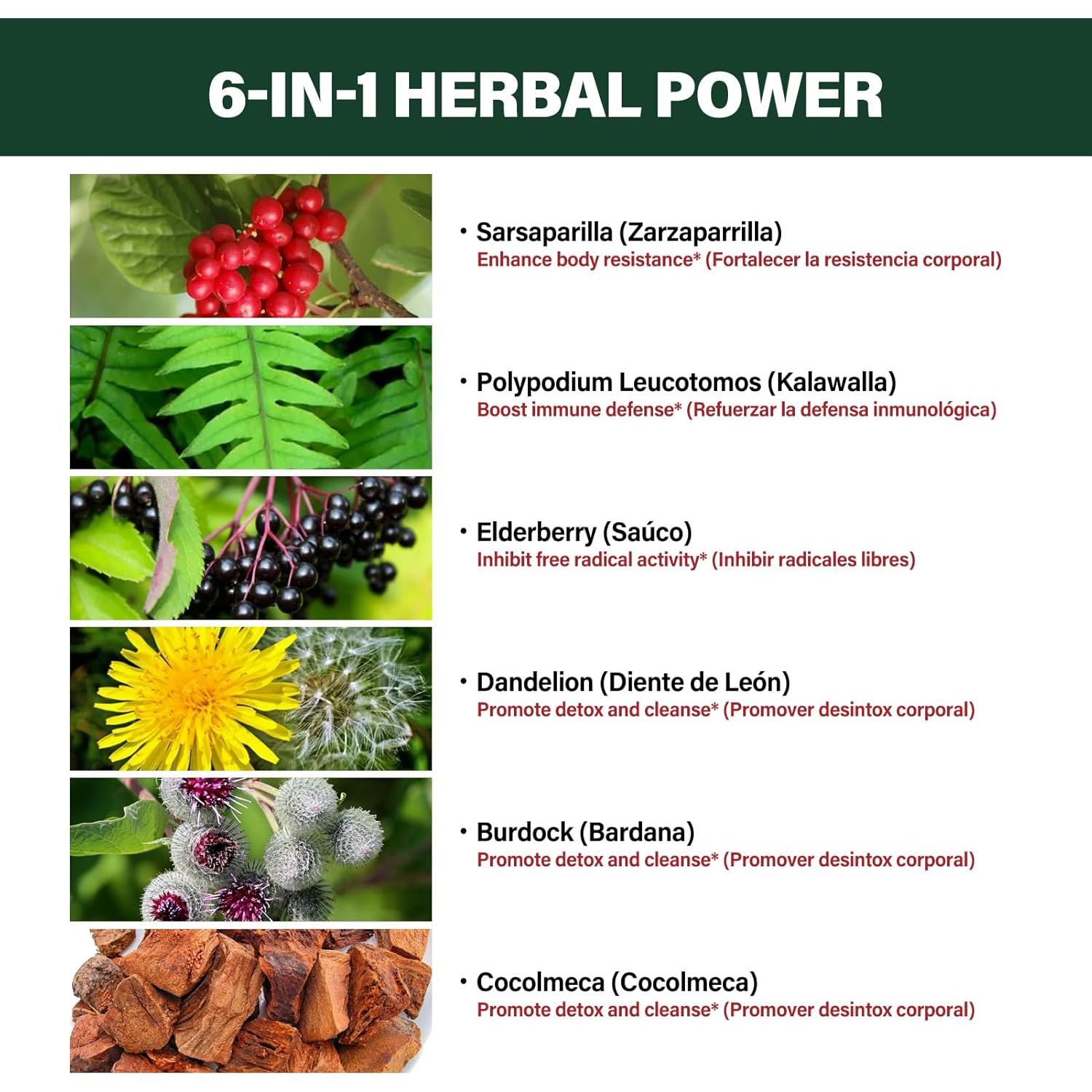 Extracto de Raíz de Zarzaparrilla Verdeherb 59 ml - Detox y Apoyo Inmunológico