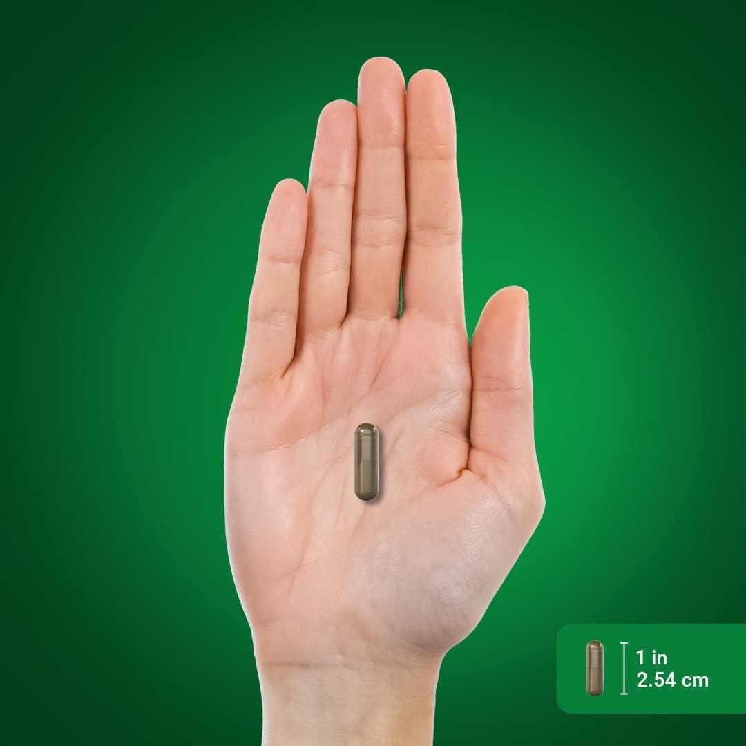 Cápsulas de Una de Gato Piping Rock 1000mg - 200 Unidades - Sin OGM