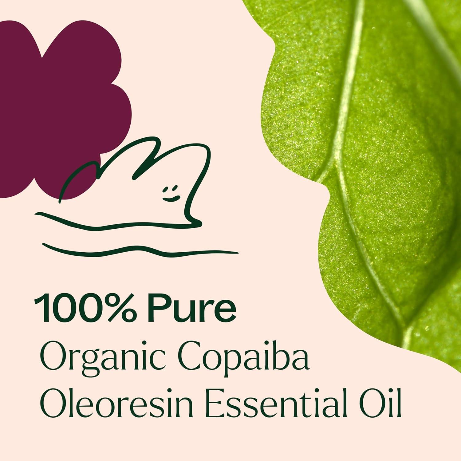 Aceite Esencial de Oleoresina de Copaiba Plant Therapy 30 mL