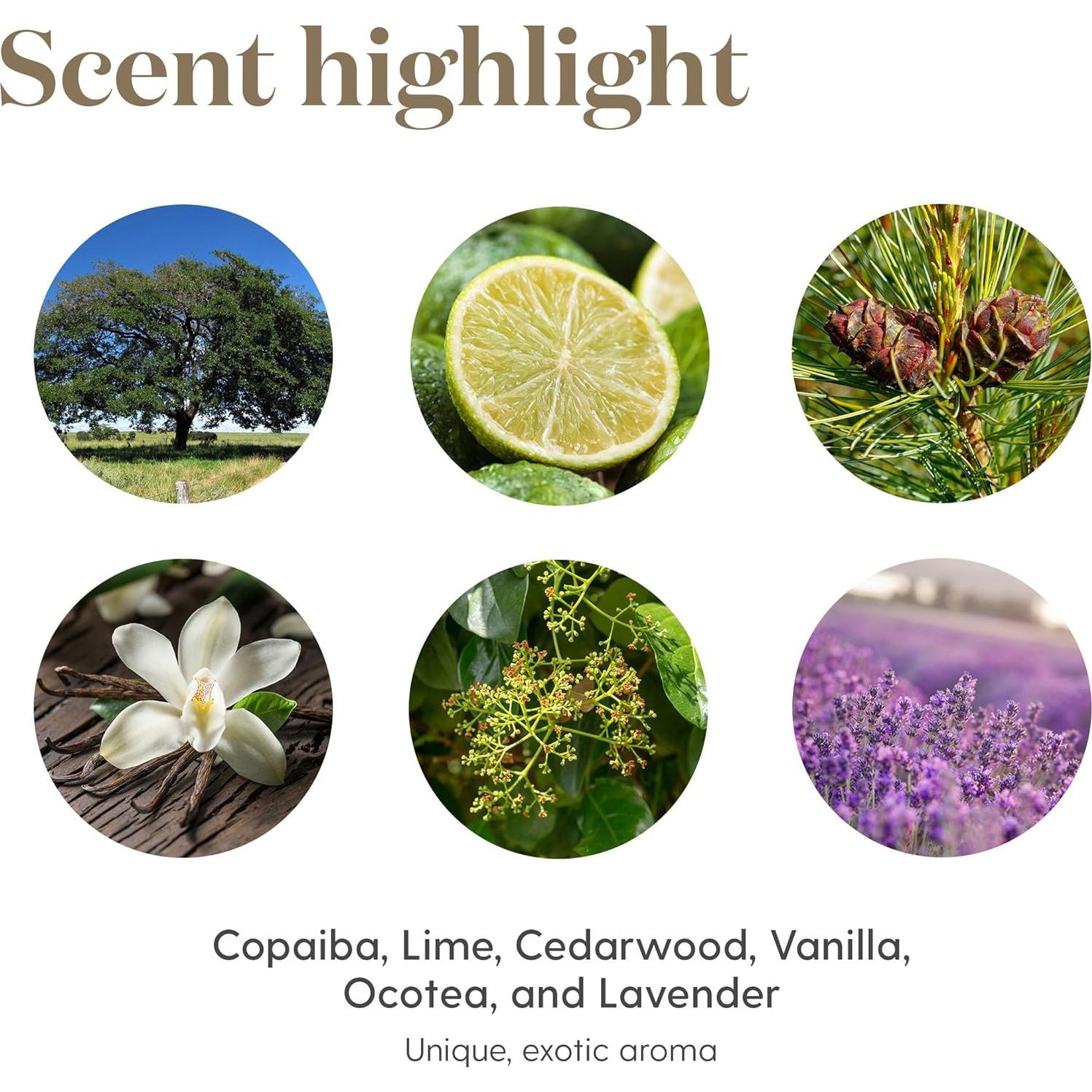 Aceite Esencial Calmante Young Living Stress Away 5 ml