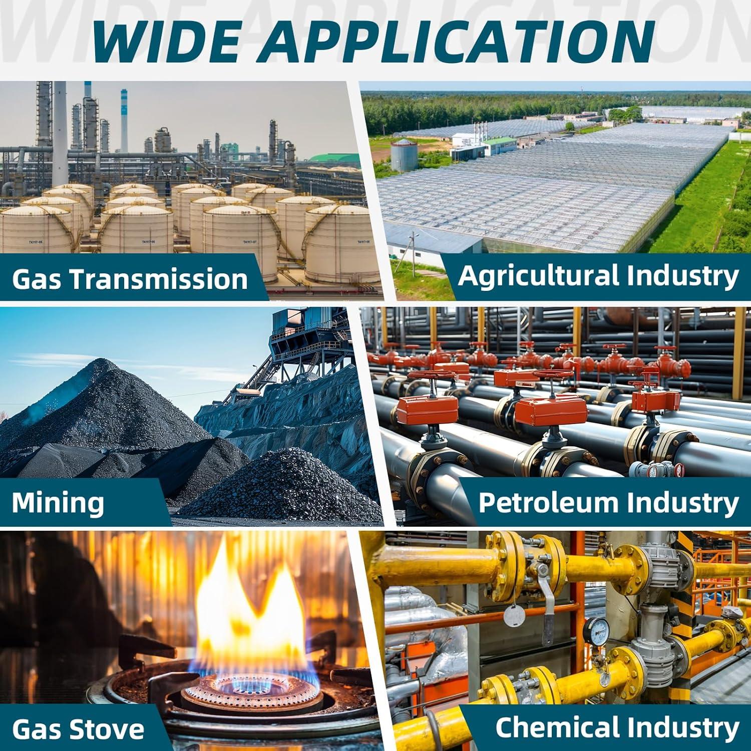 Detector de Gas Multi Gas ZYKYCX ZY-G4 4 en 1 Recargable