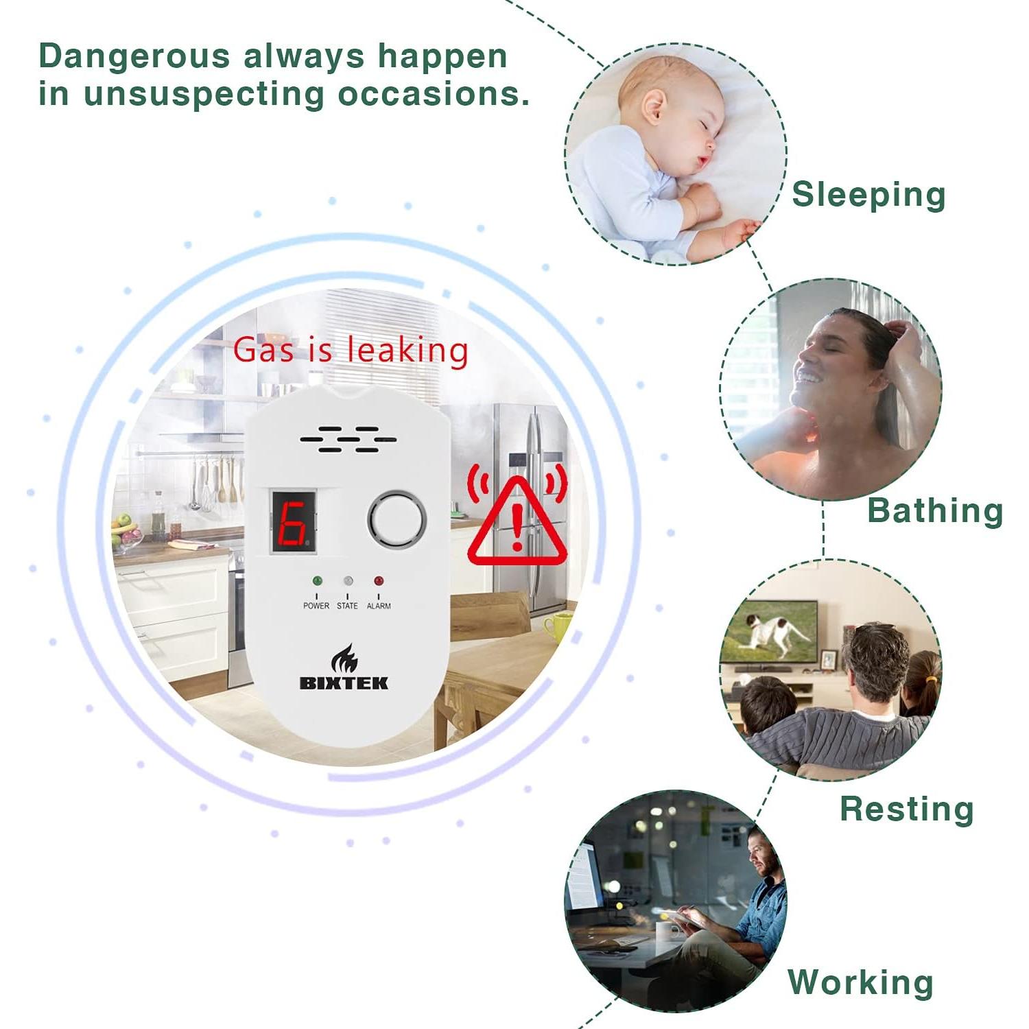 Detector de Fugas de Gas Natural BIXTEK BXCH-502 220V