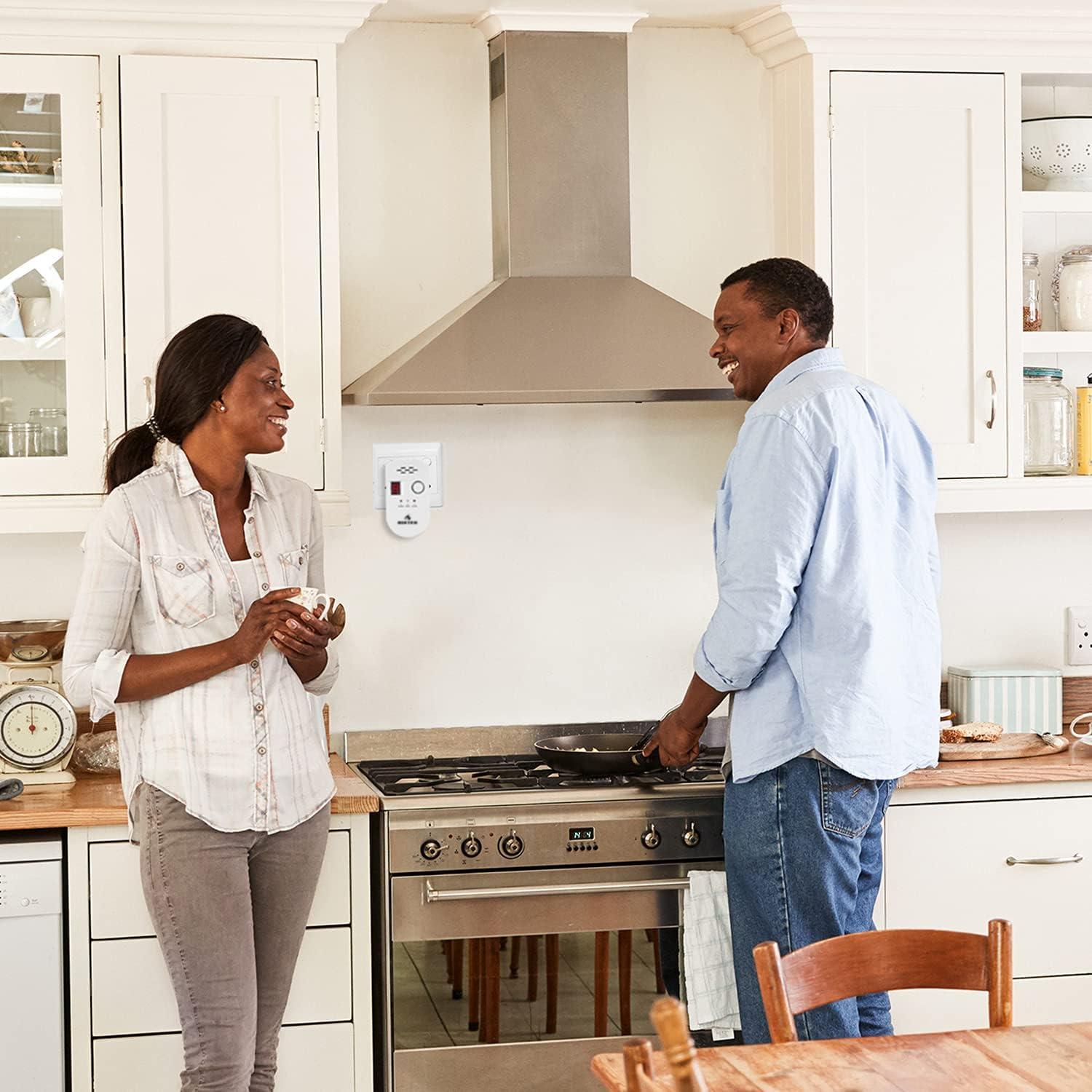 Detector de Fugas de Gas Natural BIXTEK BXCH-502 220V