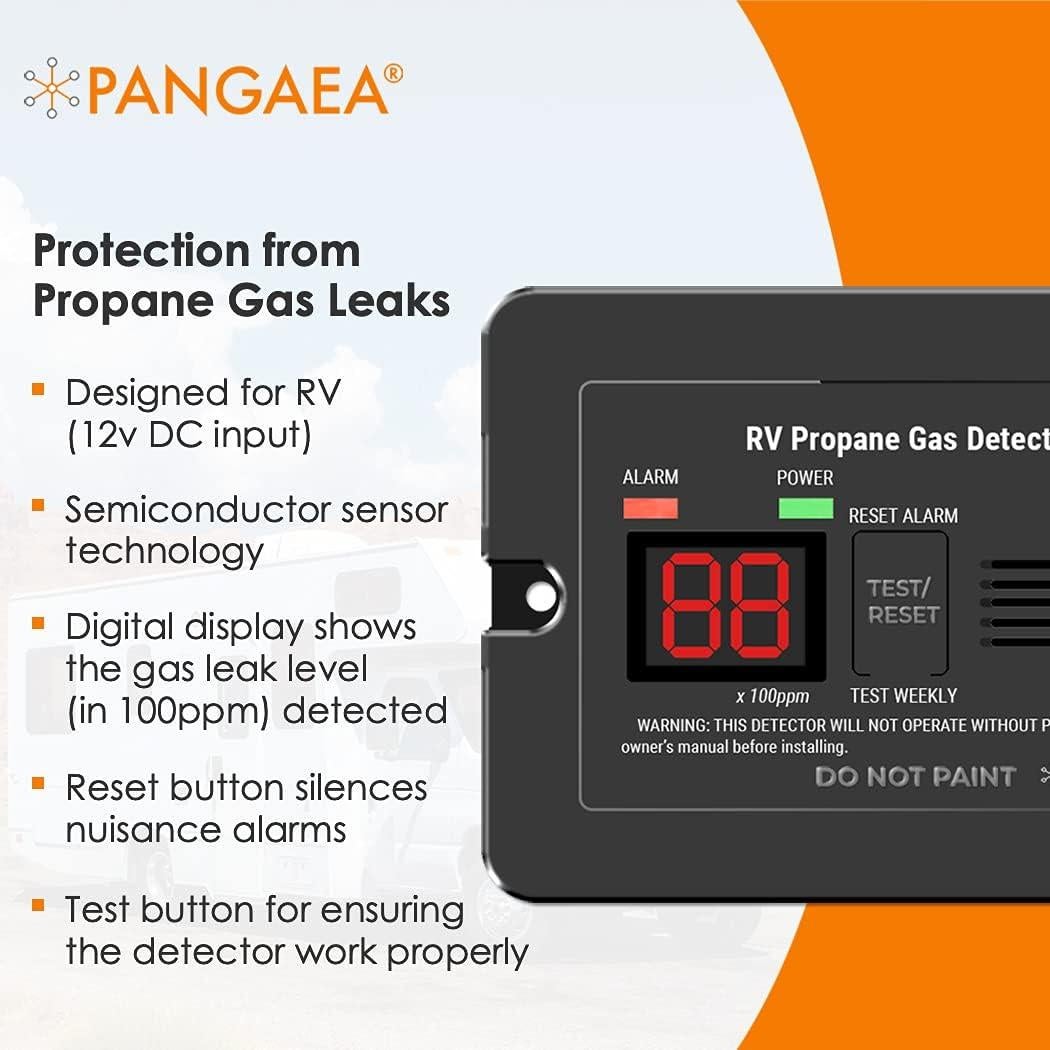 Detector de Gas Propano Digital PANGAEA PRG1000-A 12V Negro