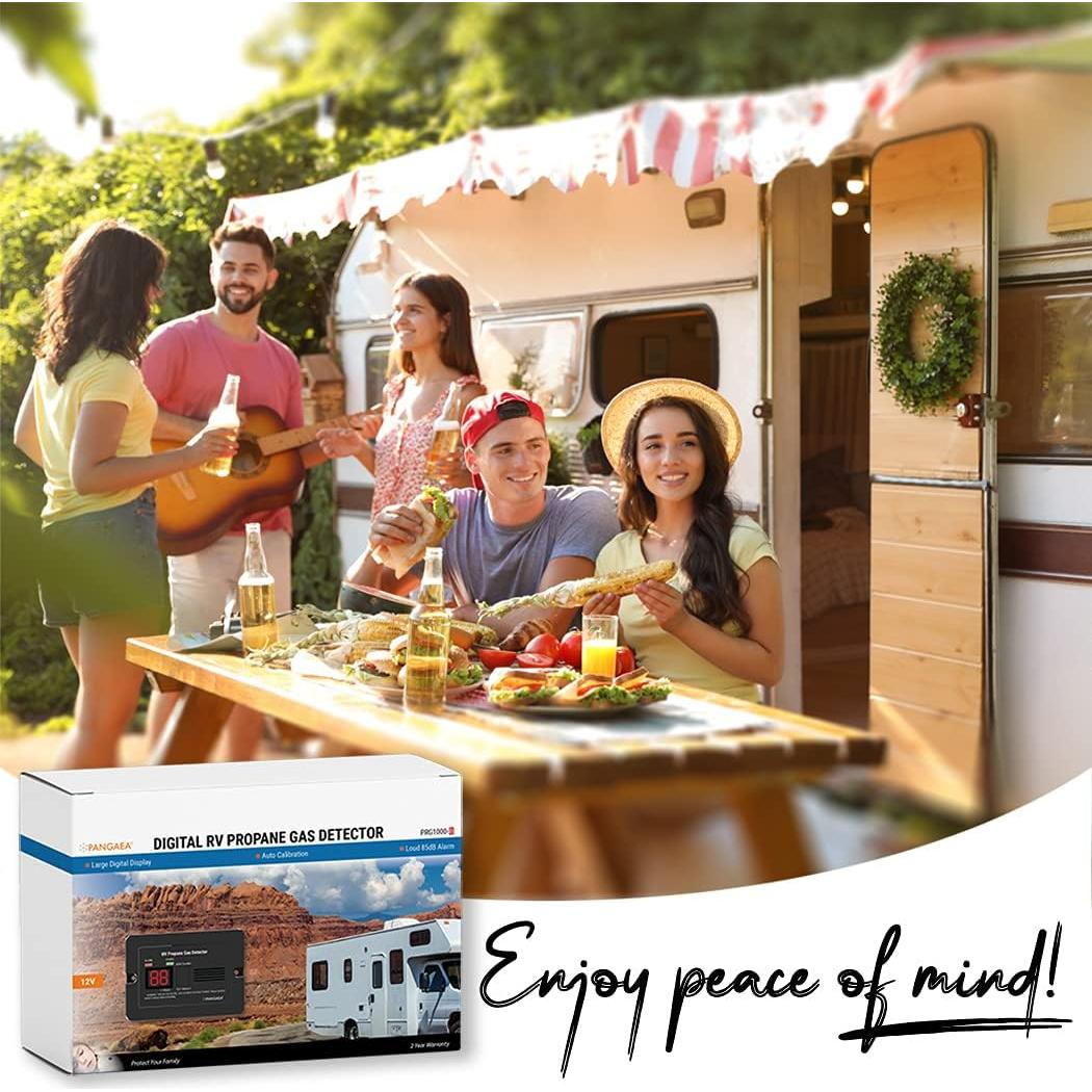 Detector de Gas Propano Digital PANGAEA PRG1000-A 12V Negro