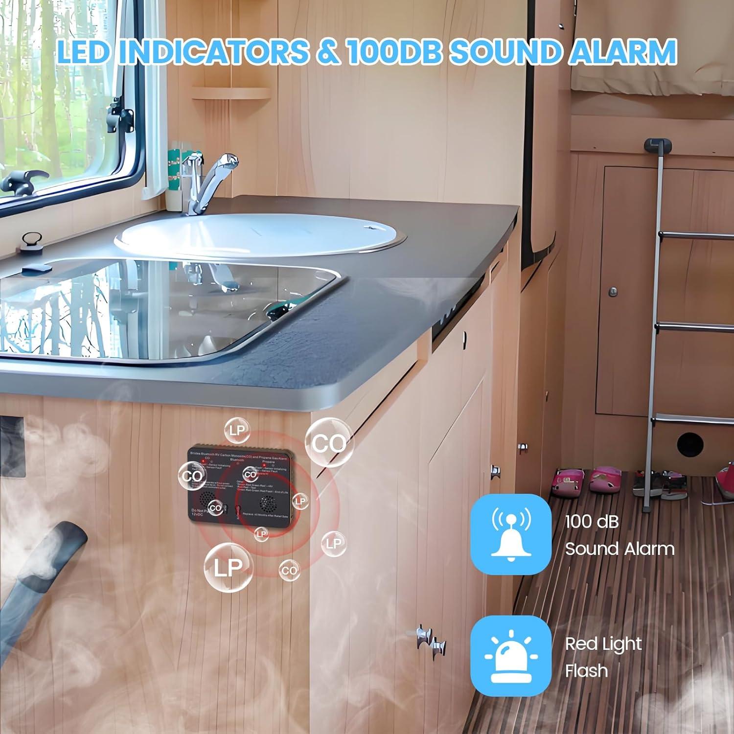 Detector de Monóxido de Carbono y Propano Briidea Bluetooth para RV