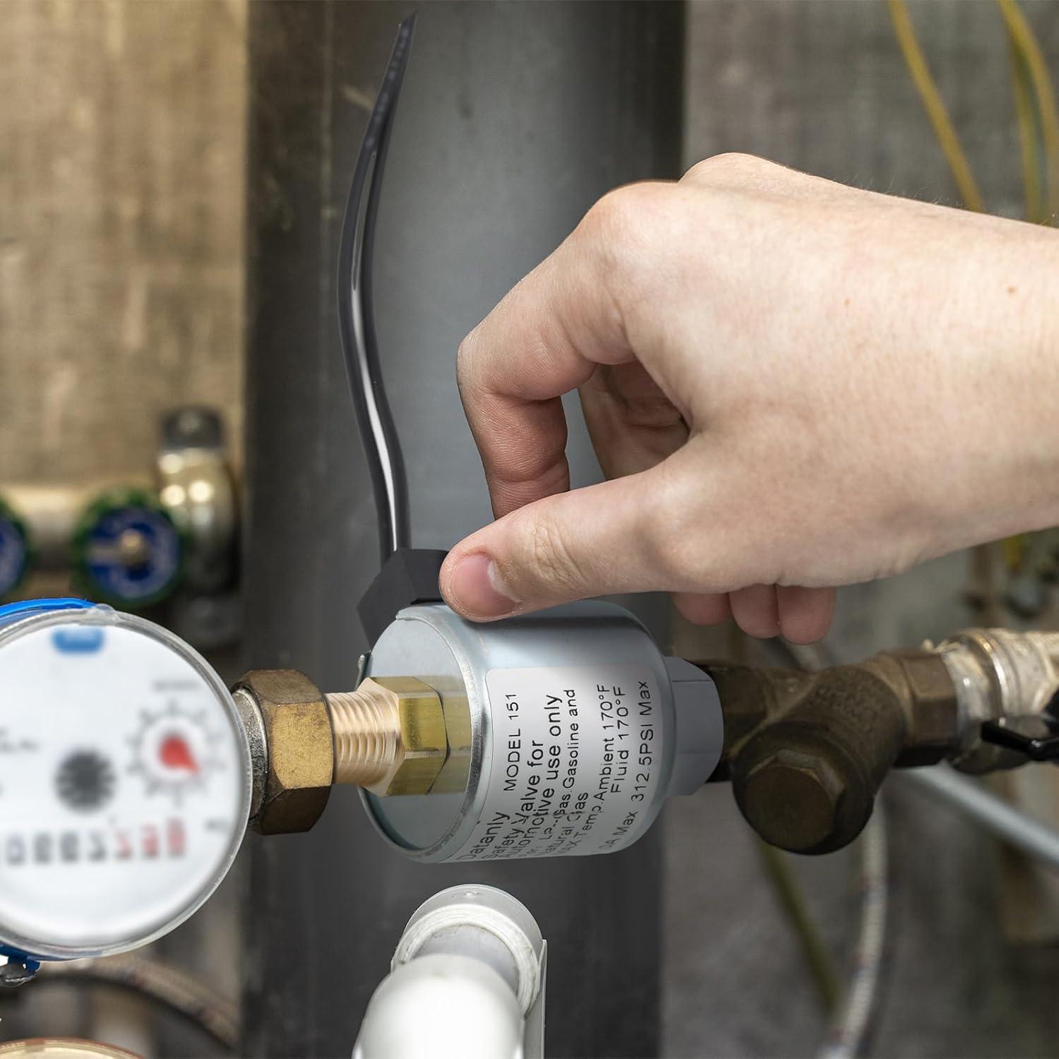 Válvula Solenoide 12V LPG Propano 1/4" NPT Acero Inoxidable