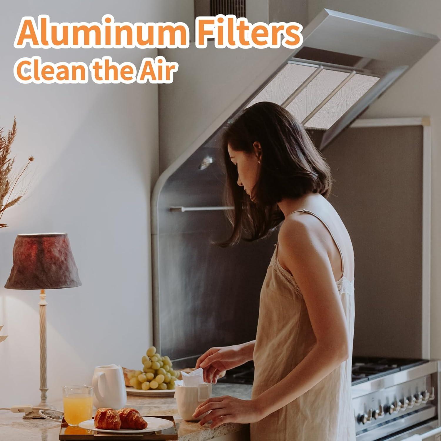 Filtro de Ventilación de Campana WZKO BPS1FA36 2 Paquete 298x438x9mm