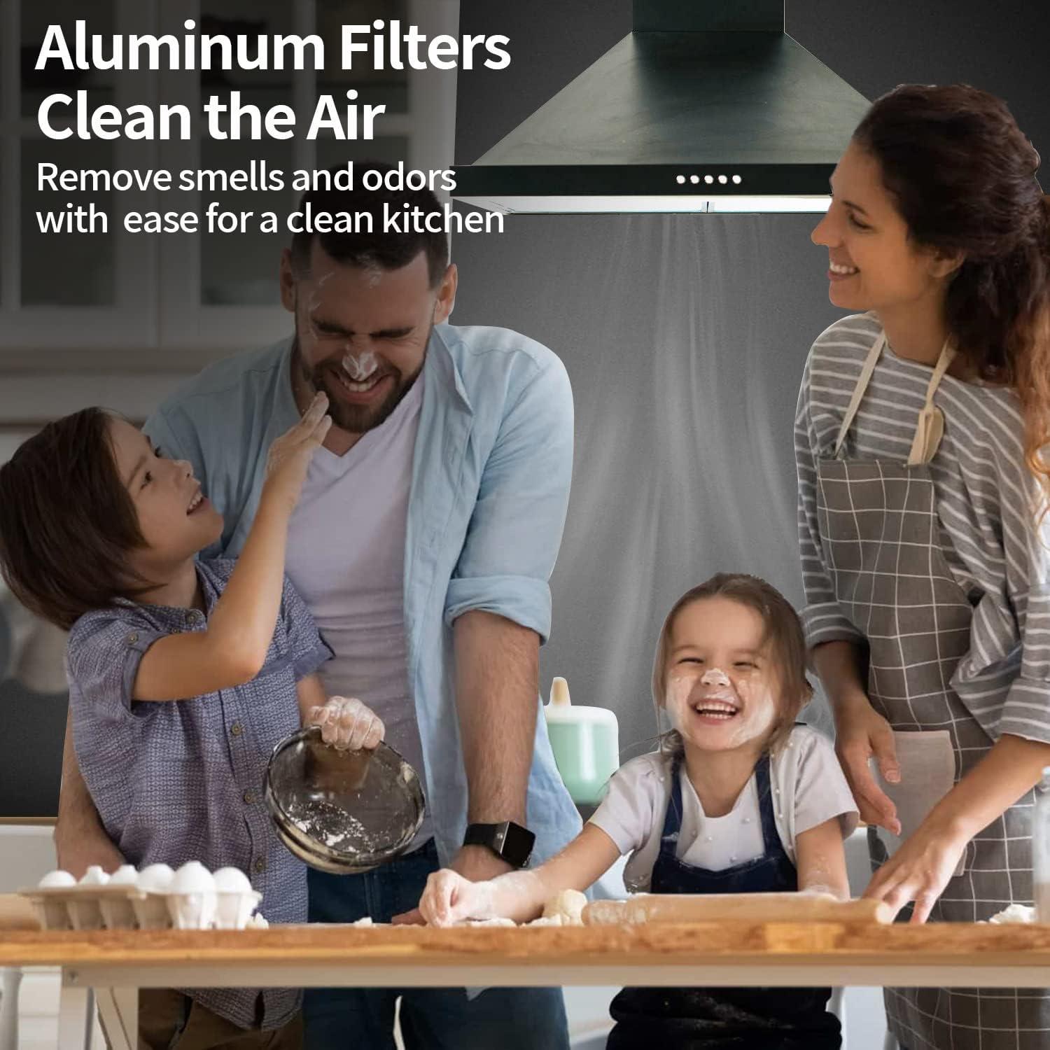 Filtro de Campana Extractora Freeboy BPS1FA30 29.85x36.20cm Aluminio (2 Pcs)