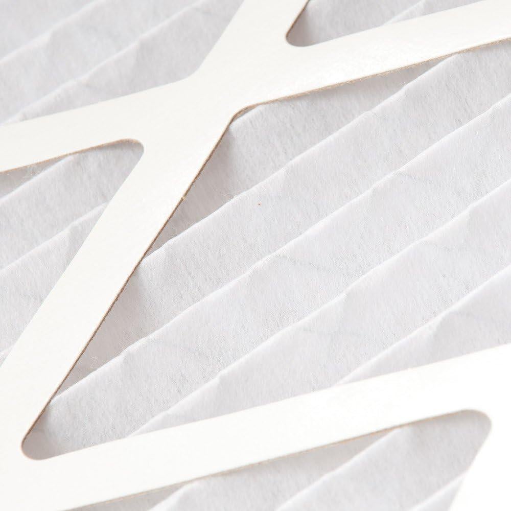 Filtros de Aire Plisados MERV 14 Nordic Pure 20x24x1 Paquete de 4