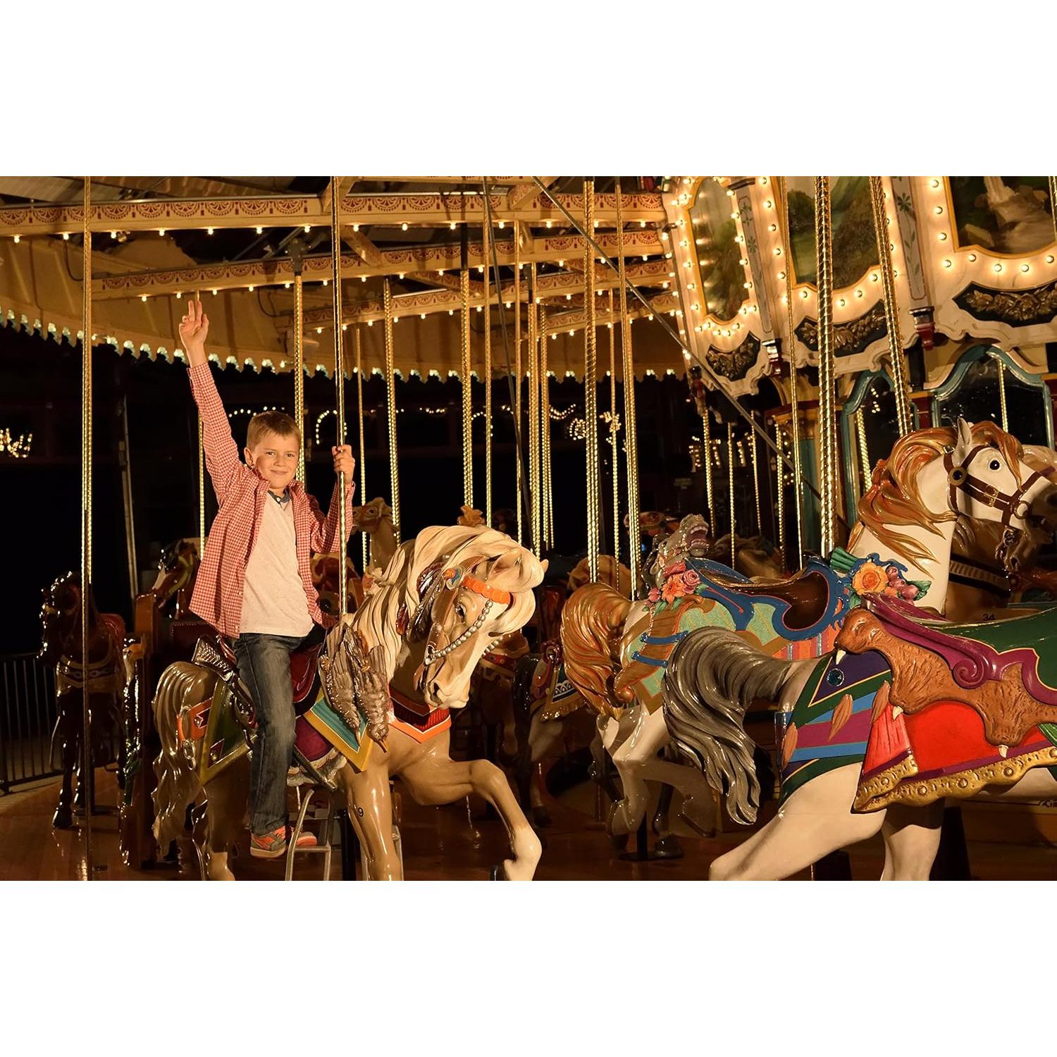 Cámara DSLR Nikon D3300 24.2 MP HD 1080p - Negro