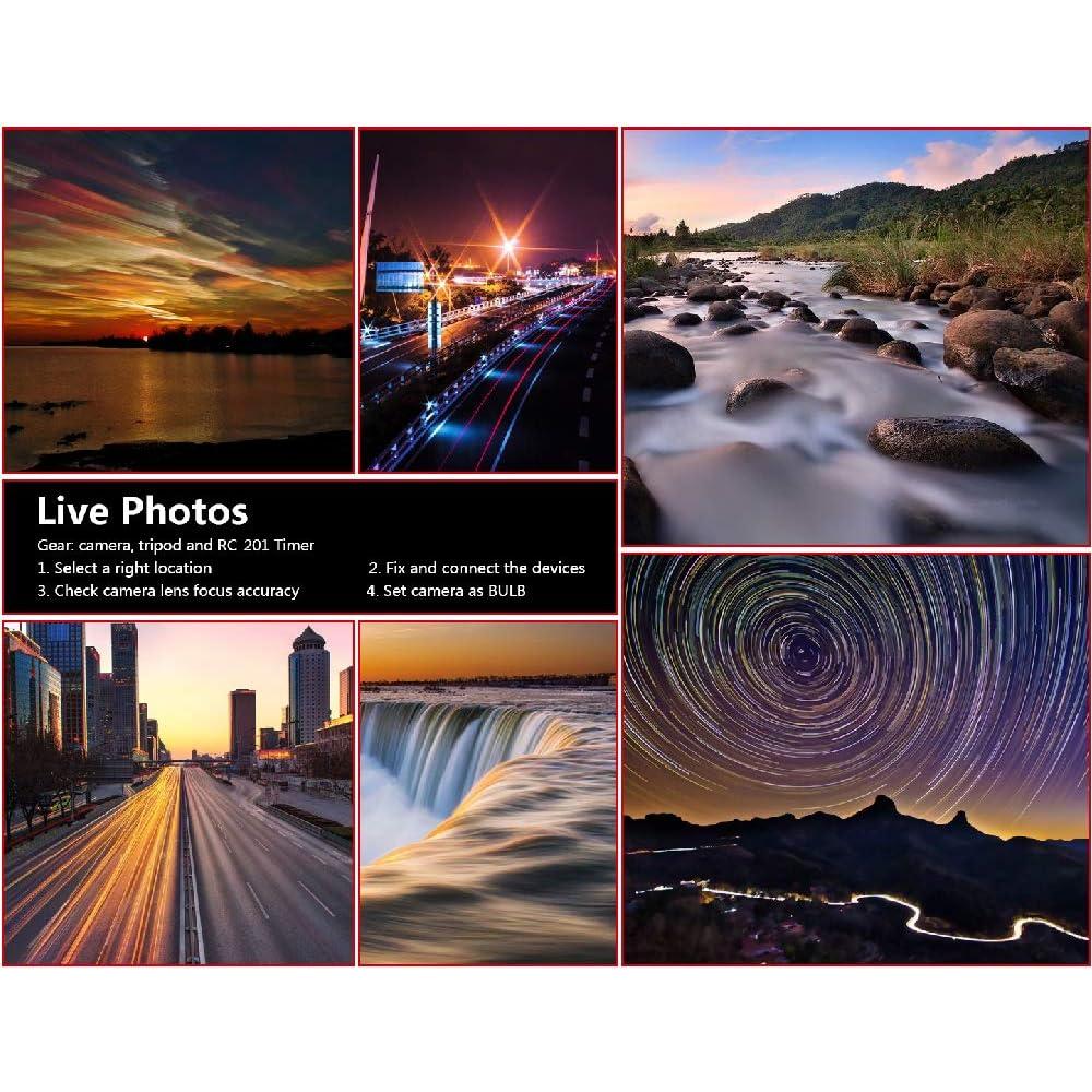 Control Remoto de Disparo Pixel RC-201 para Nikon DSLR