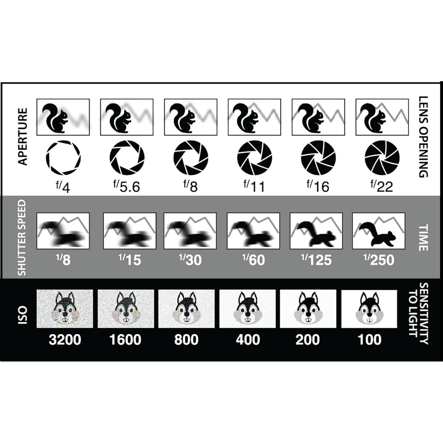 Tarjetas de Referencia de Fotografía DSLR - New York City Photo Safari