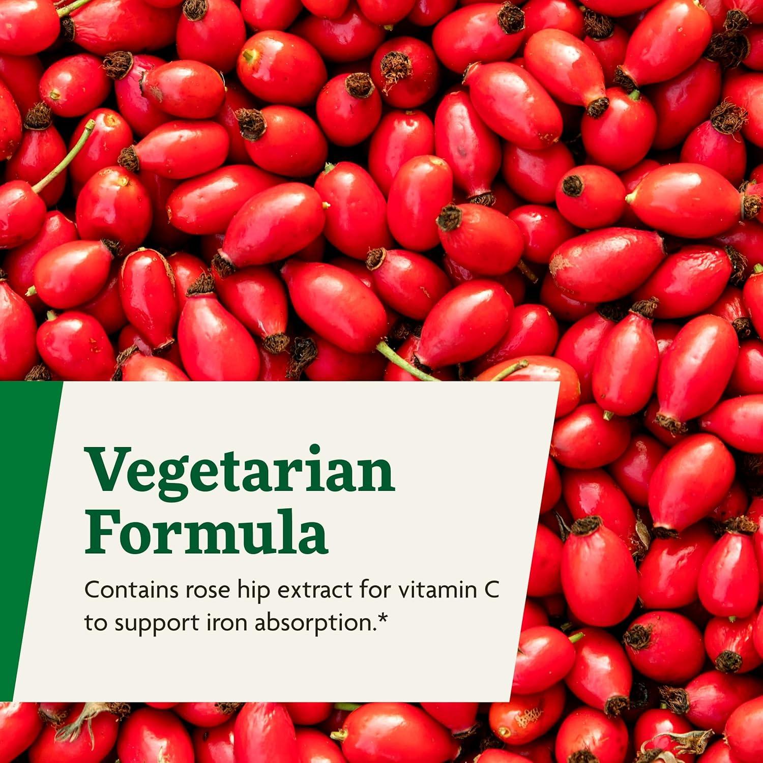 Floradix Suplemento de Hierro Líquido 250 mL - Salus